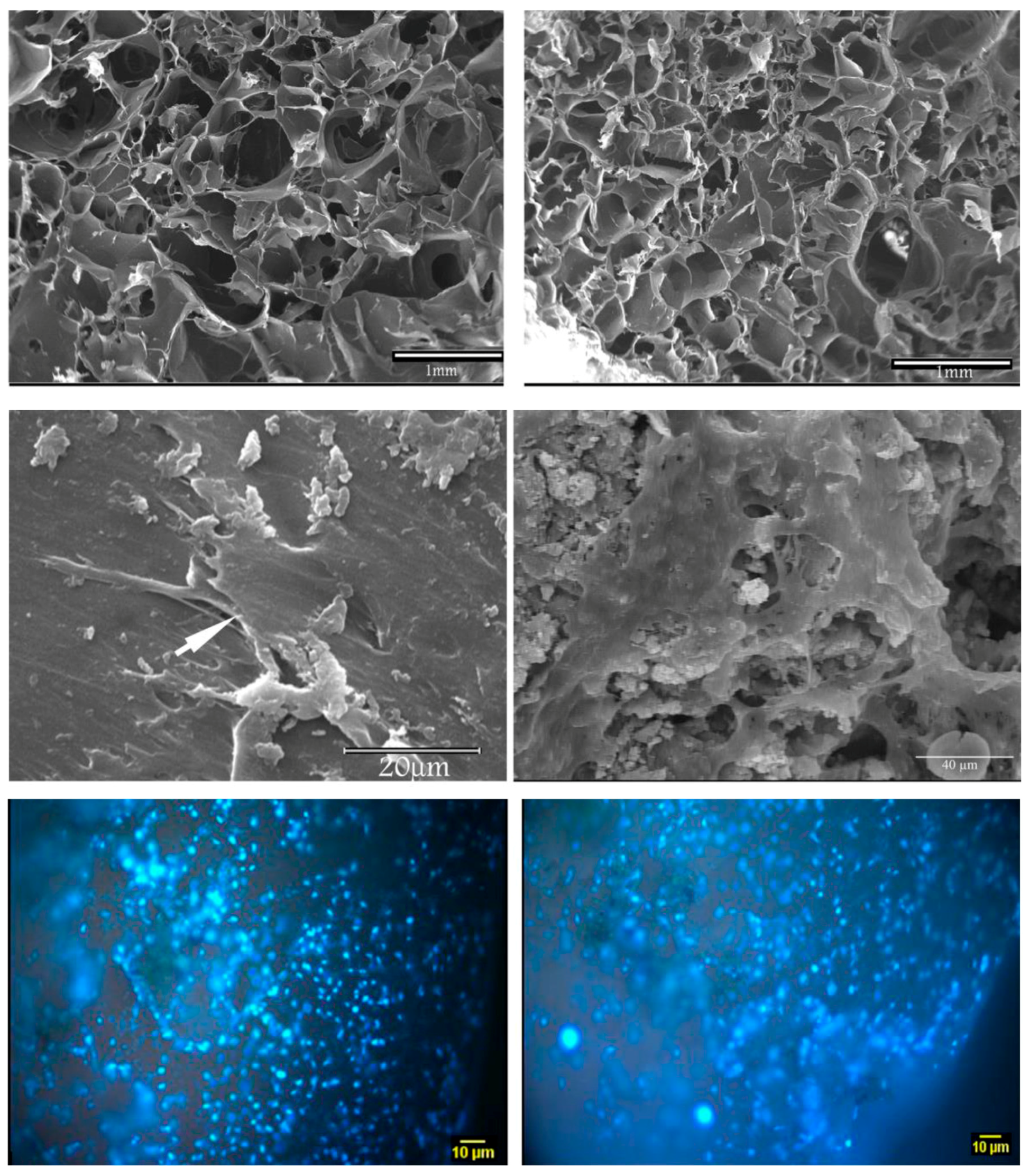 Materials 10 01429 g003
