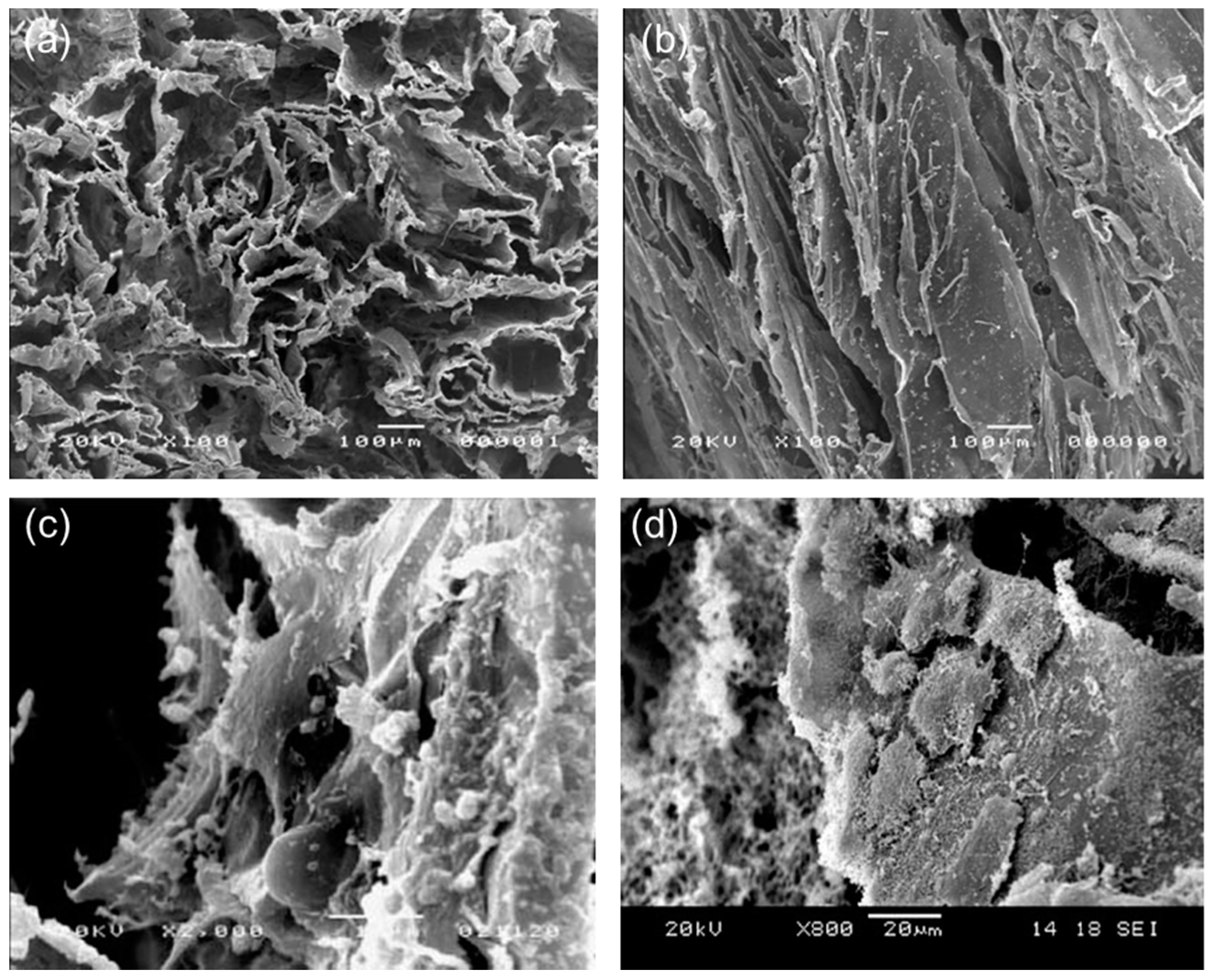 Materials 10 01429 g005