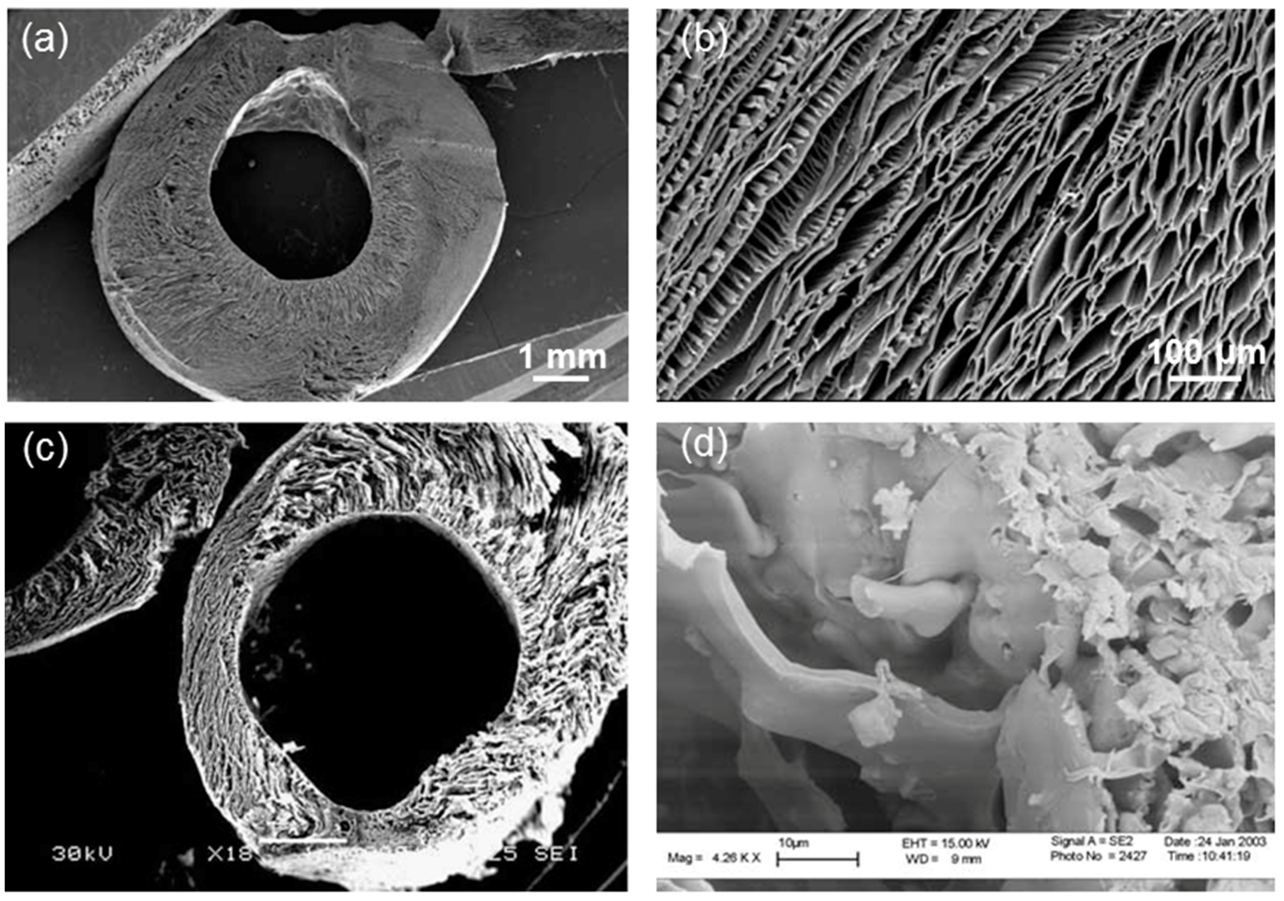 Materials 10 01429 g006