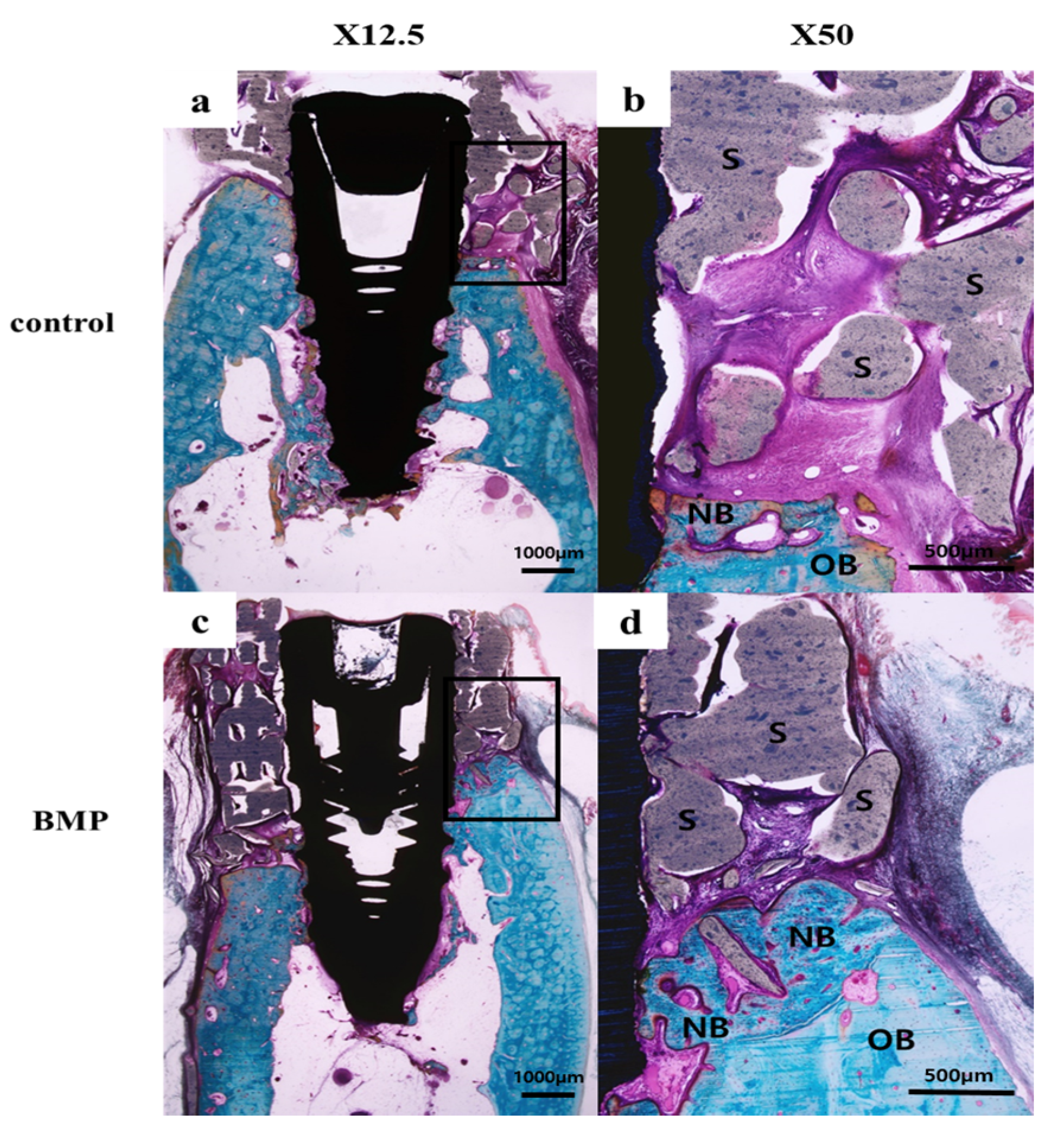 Materials 10 01434 g009