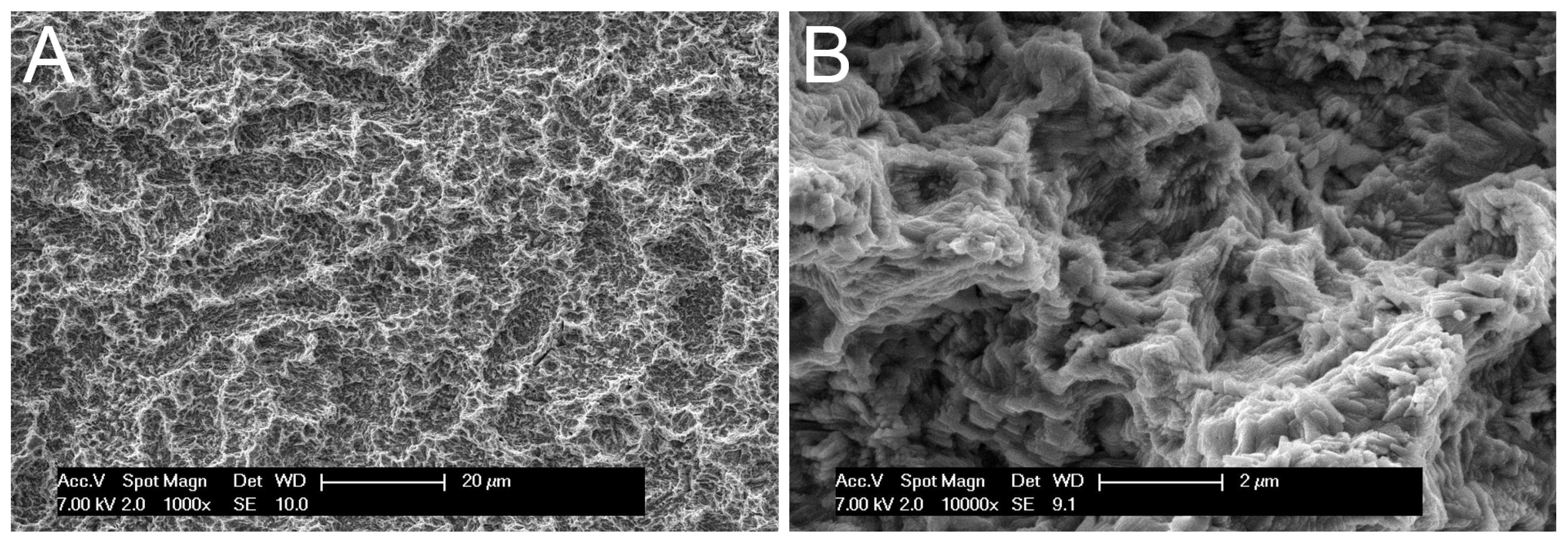 Materials 10 01438 g001
