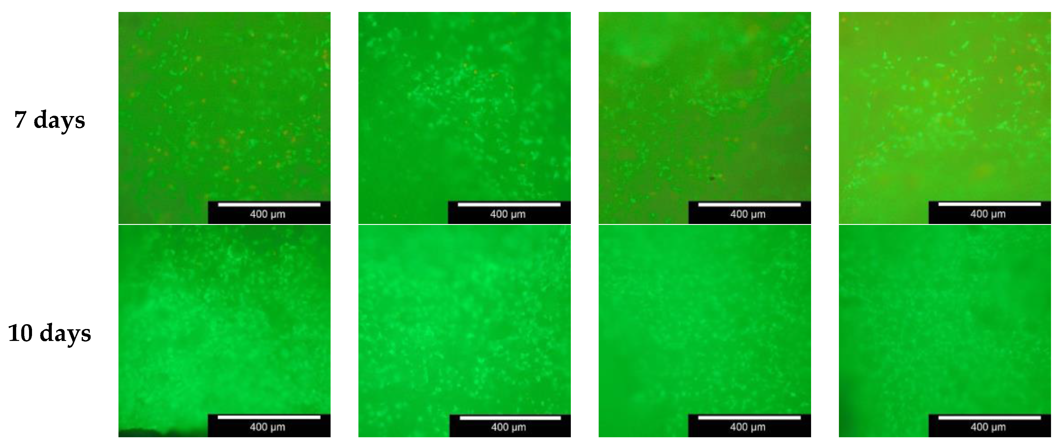 Materials 11 00013 g007b 550