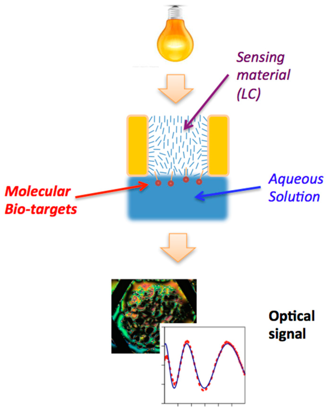 Materials | Free Full-Text | Thermotropic Liquid Crystal-Assisted ...