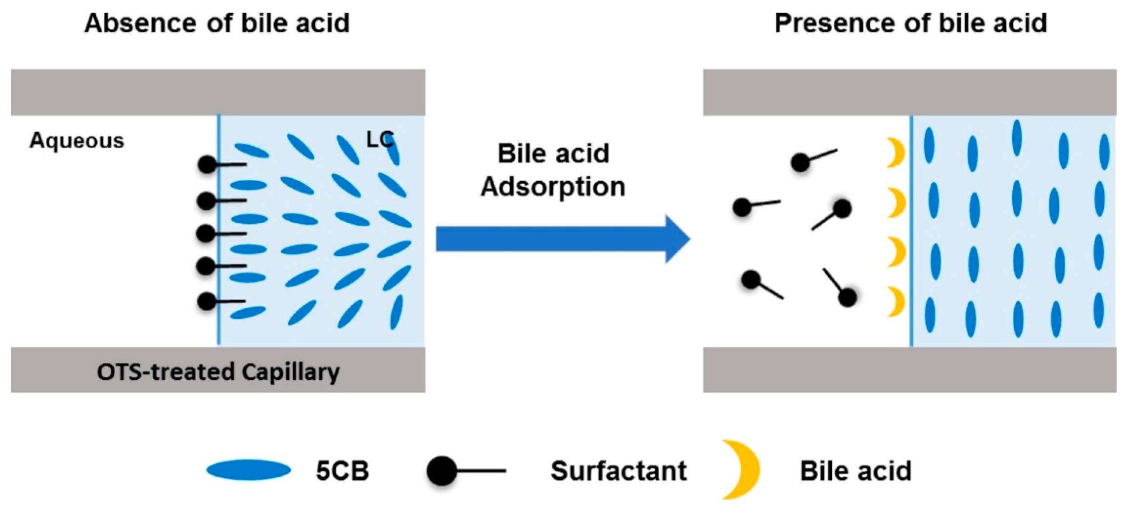 Materials 11 00020 g006