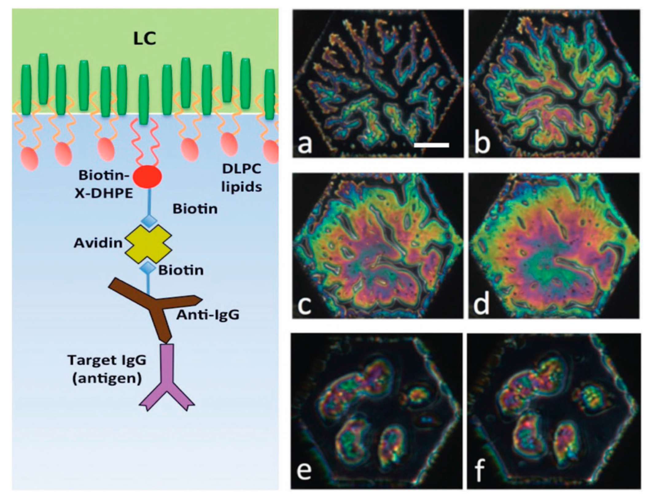 Materials 11 00020 g021