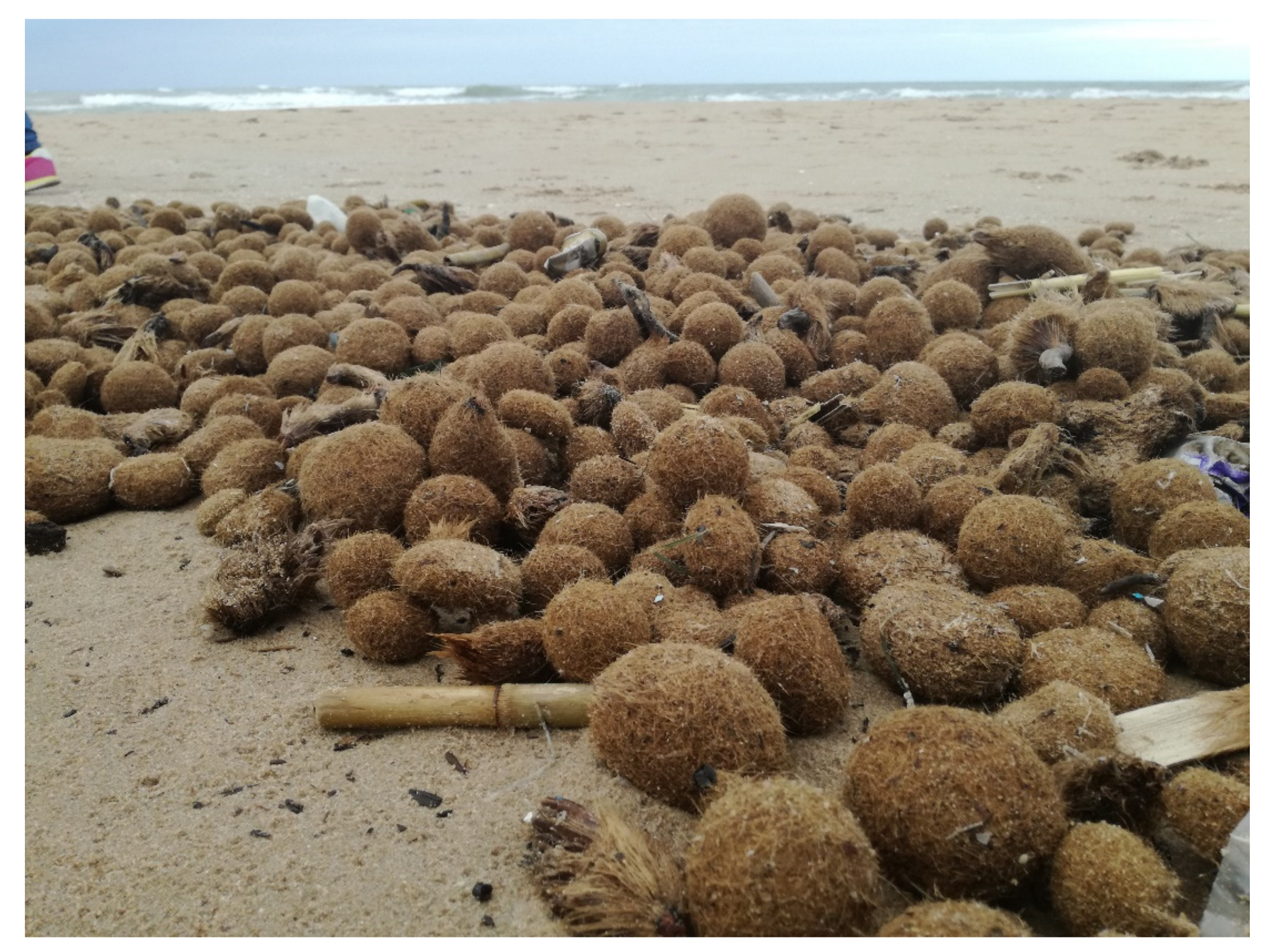 Materials 11 00035 g001