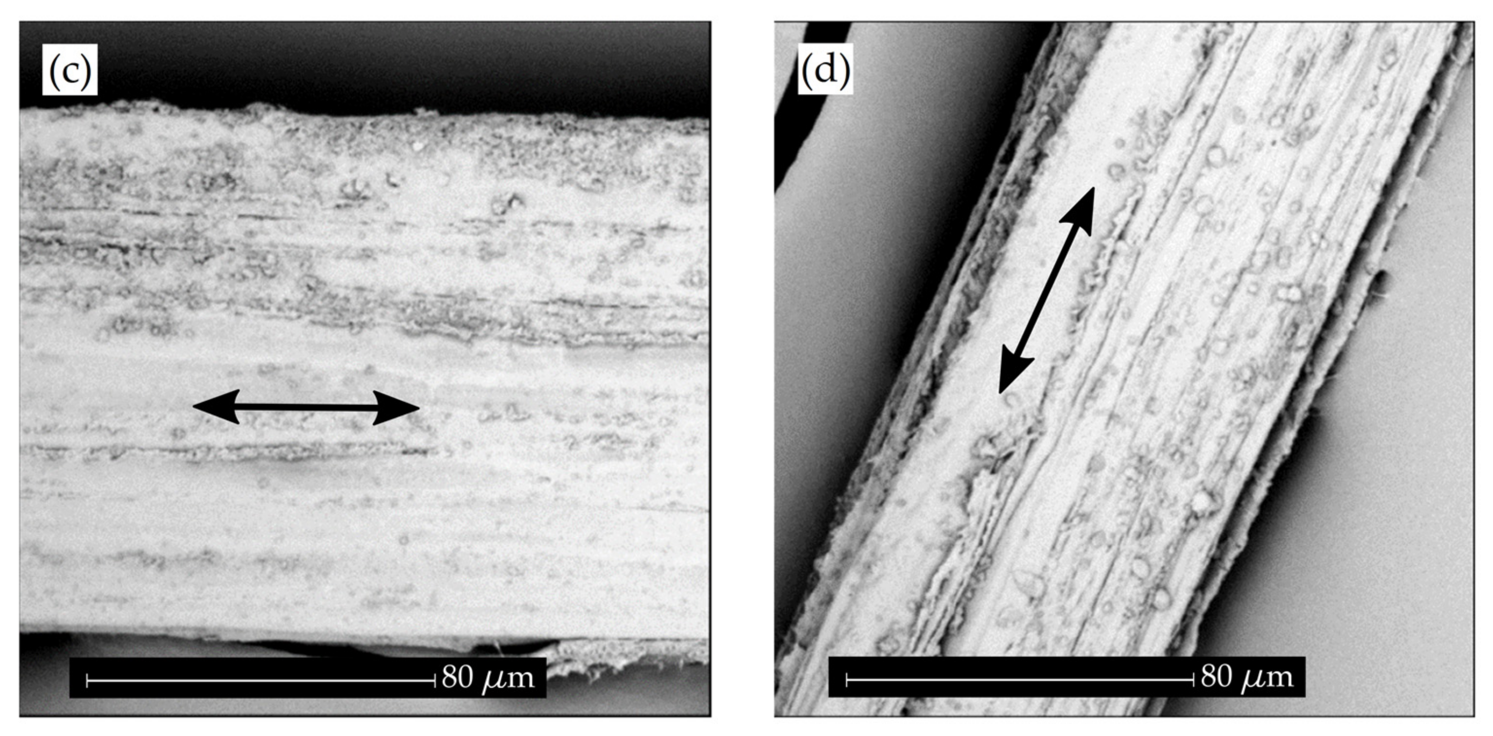 Materials 11 00035 g005b