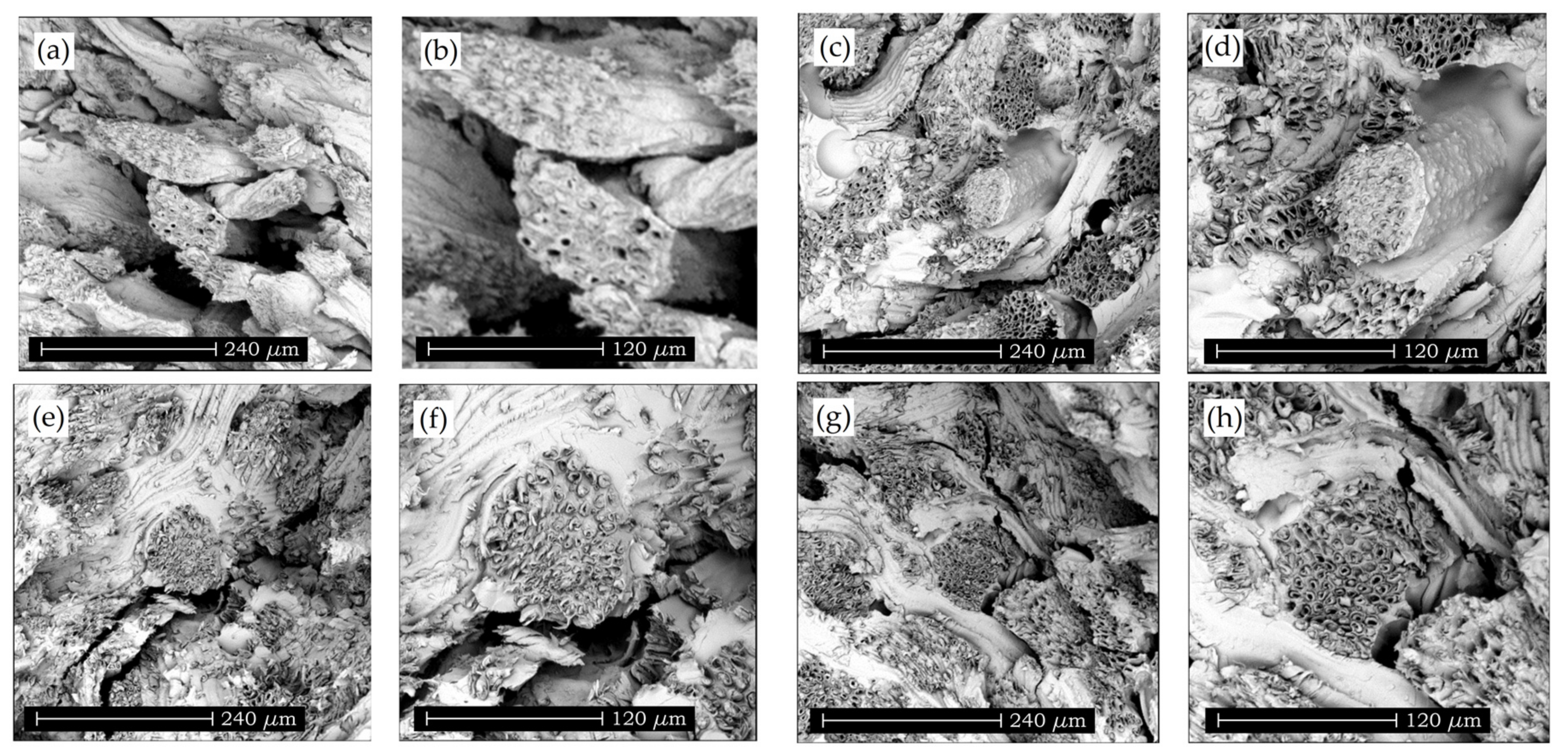 Materials 11 00035 g009