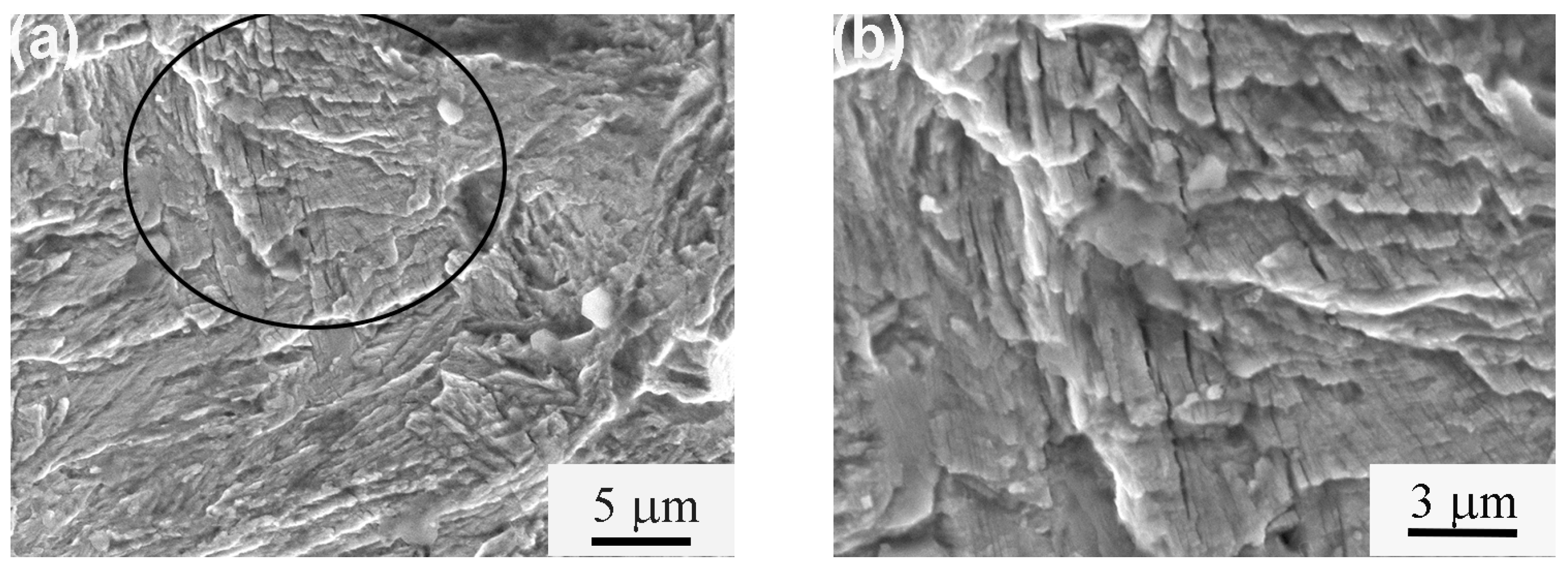 Materials 11 00054 g006 550