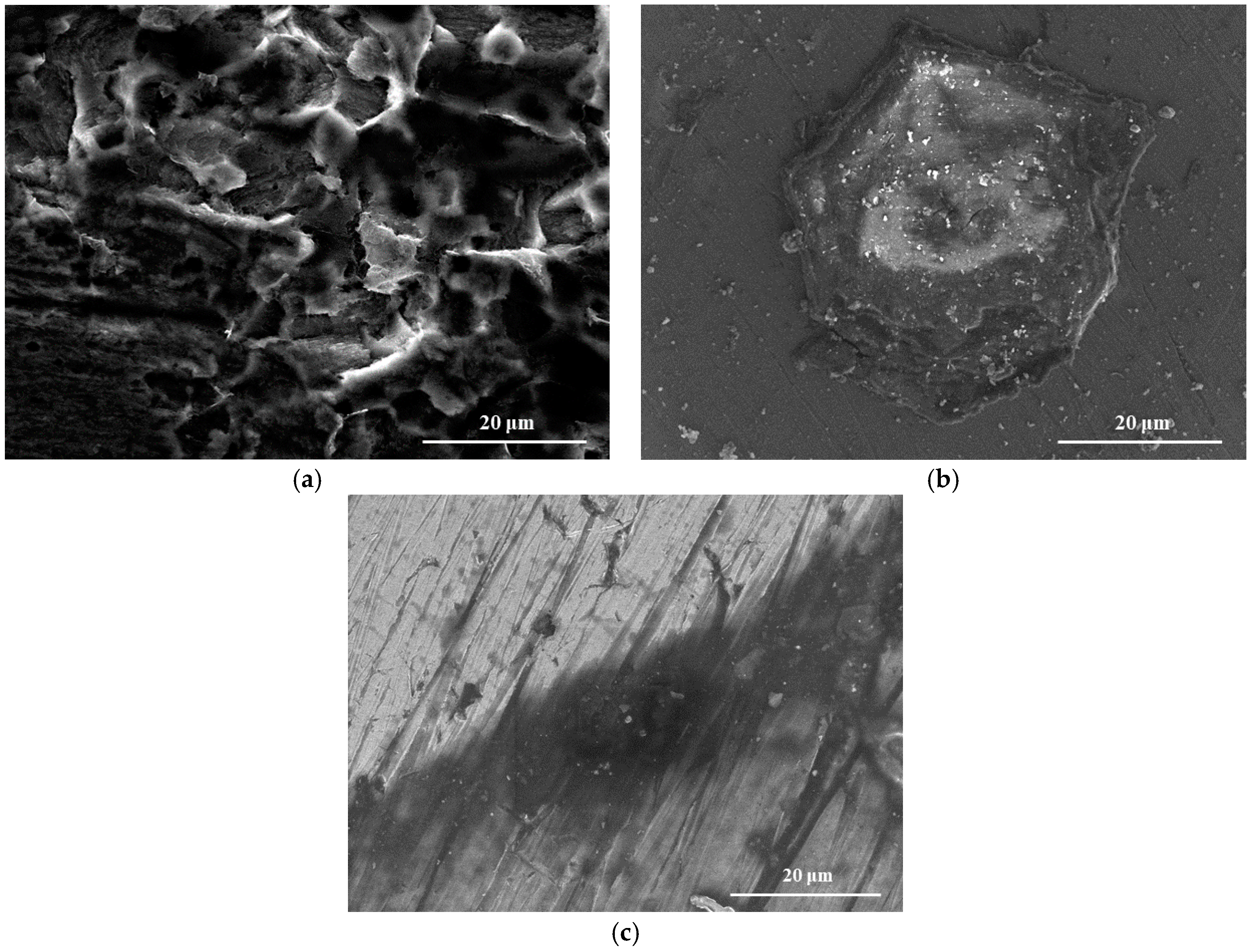 Materials 11 00059 g001