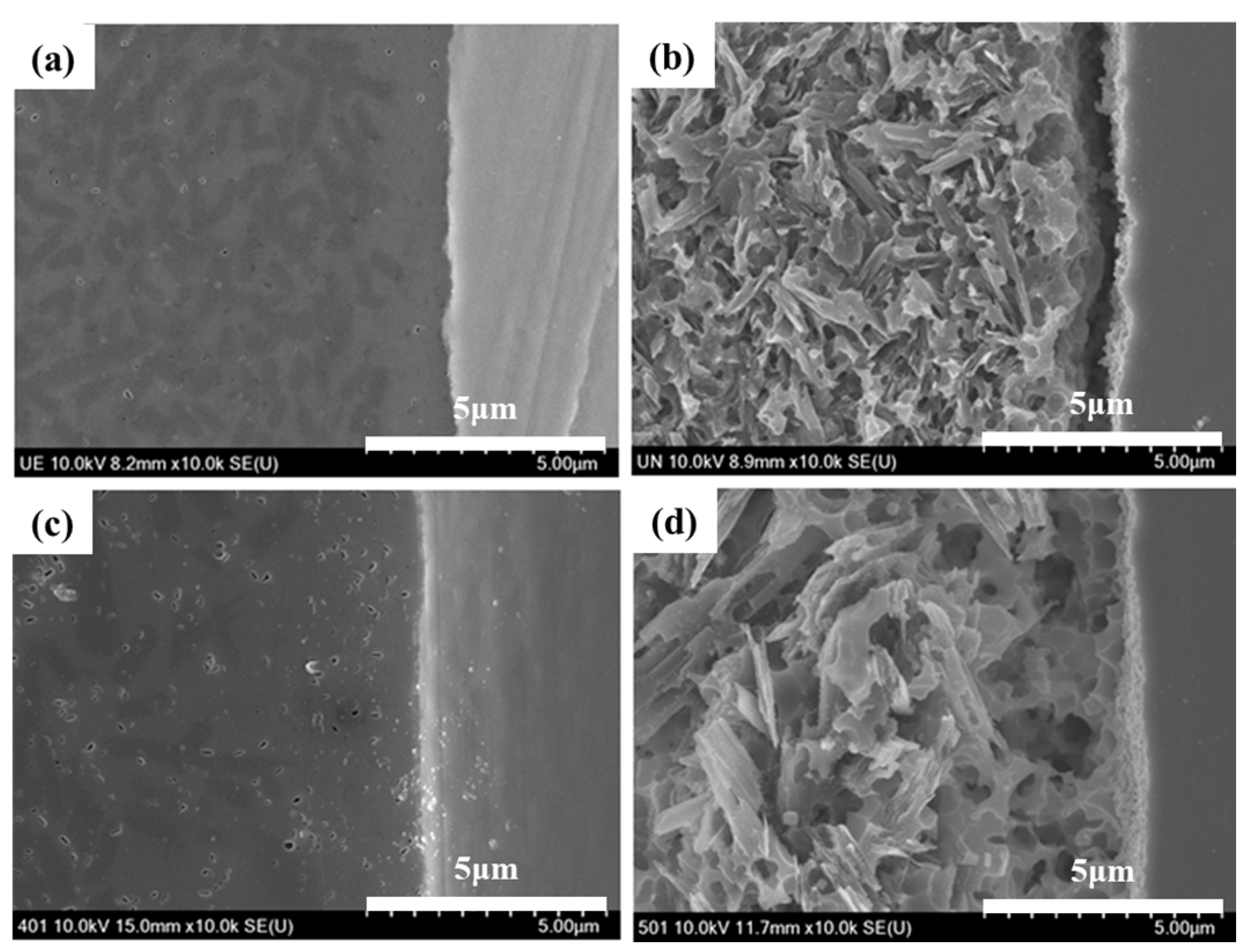 Materials 11 00077 g007