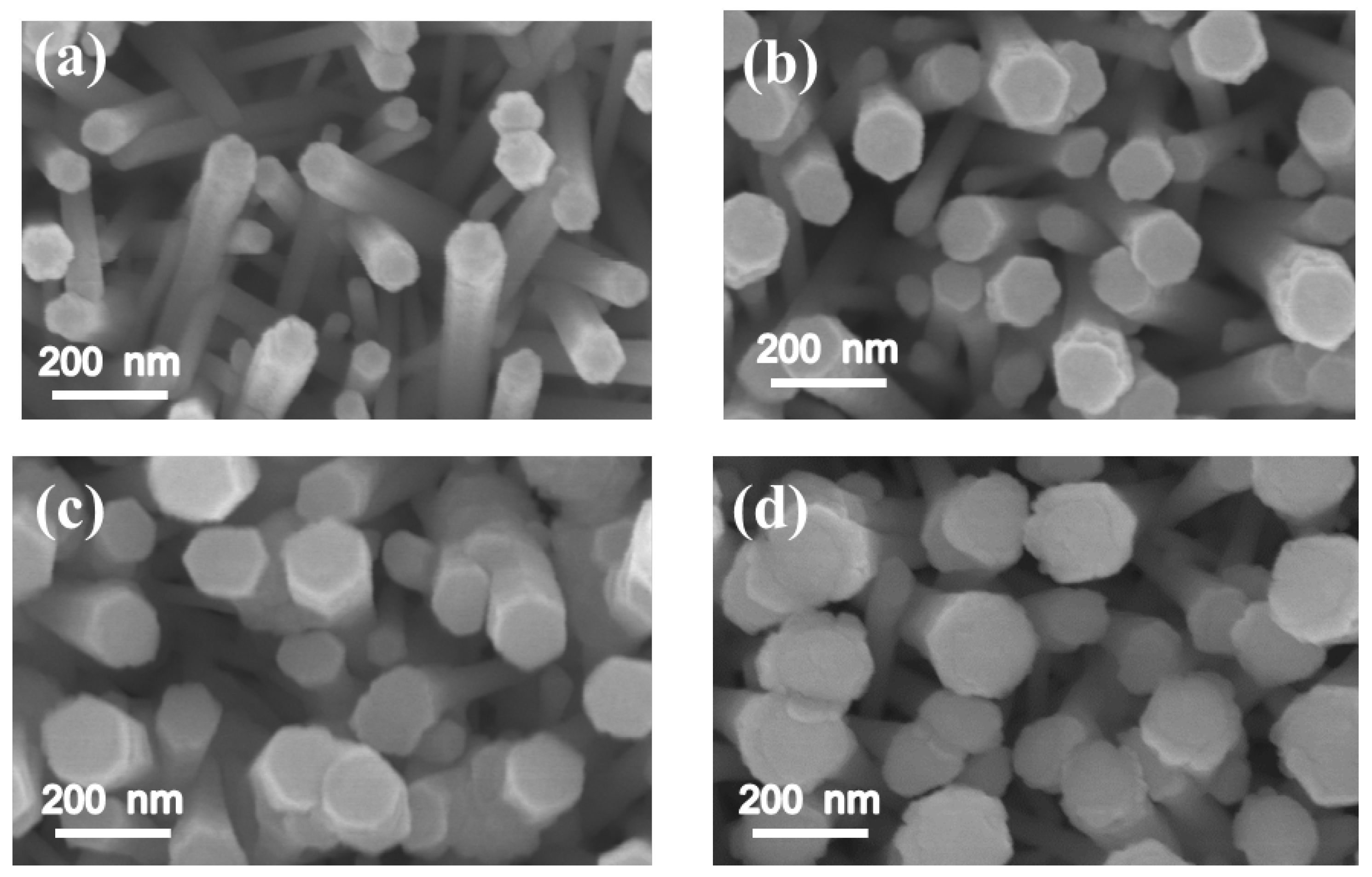 Materials 11 00087 g001