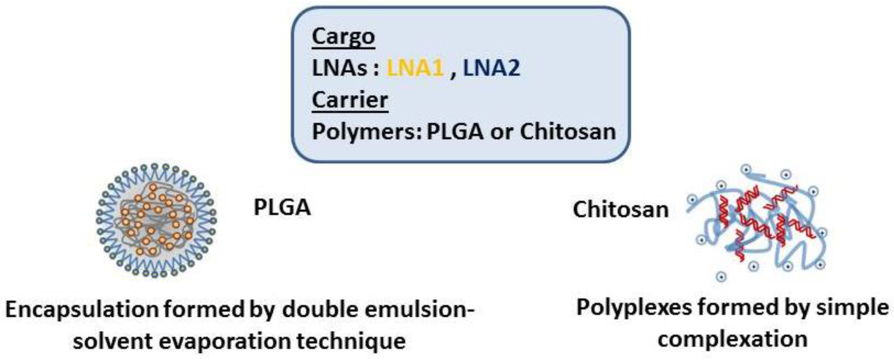 Materials 11 00122 g001 550