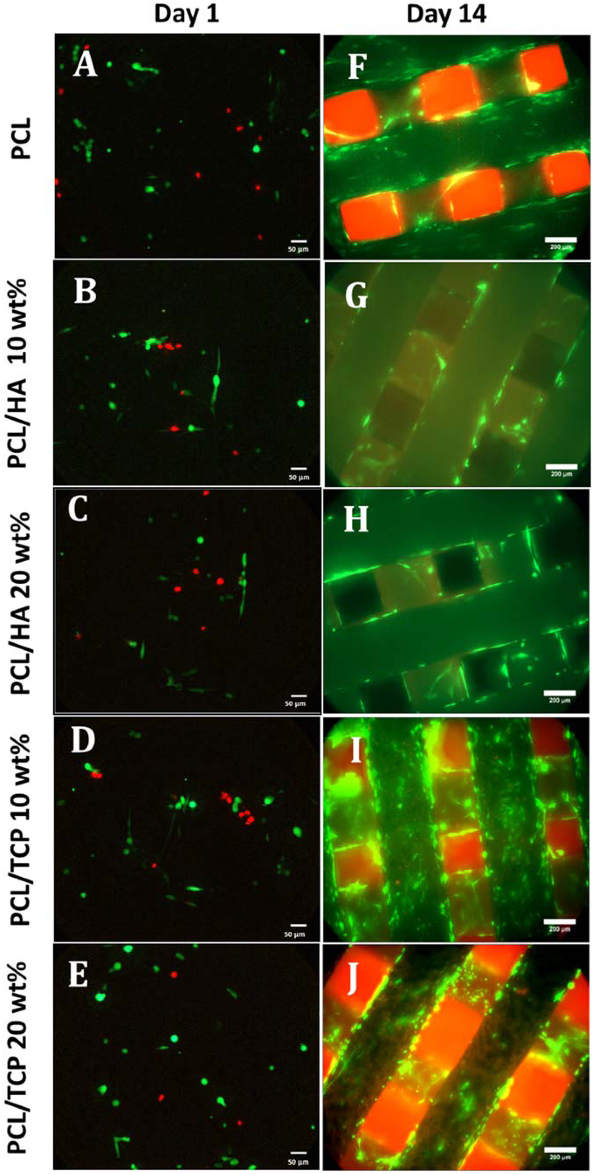 book Feeding Behavior. Neural and Humoral Controls