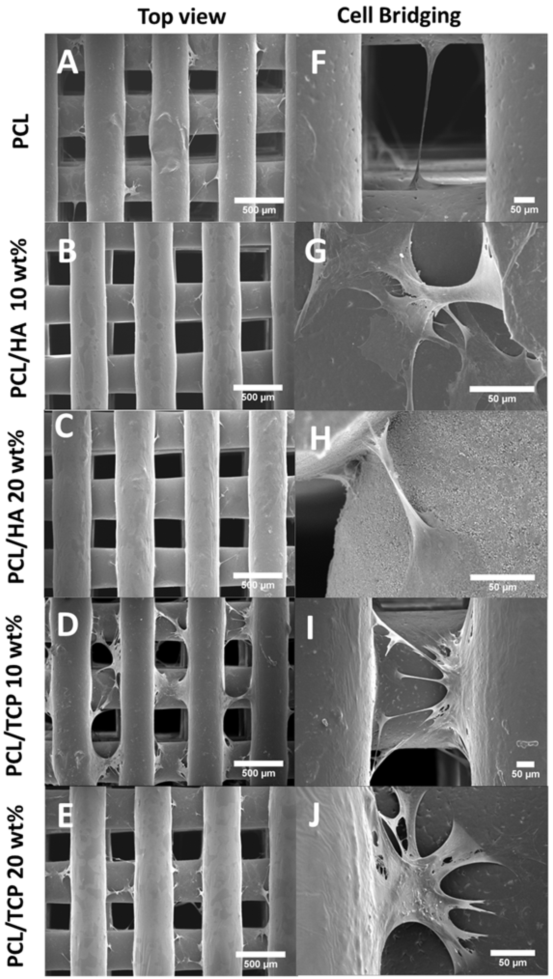 Materials 11 00129 g010