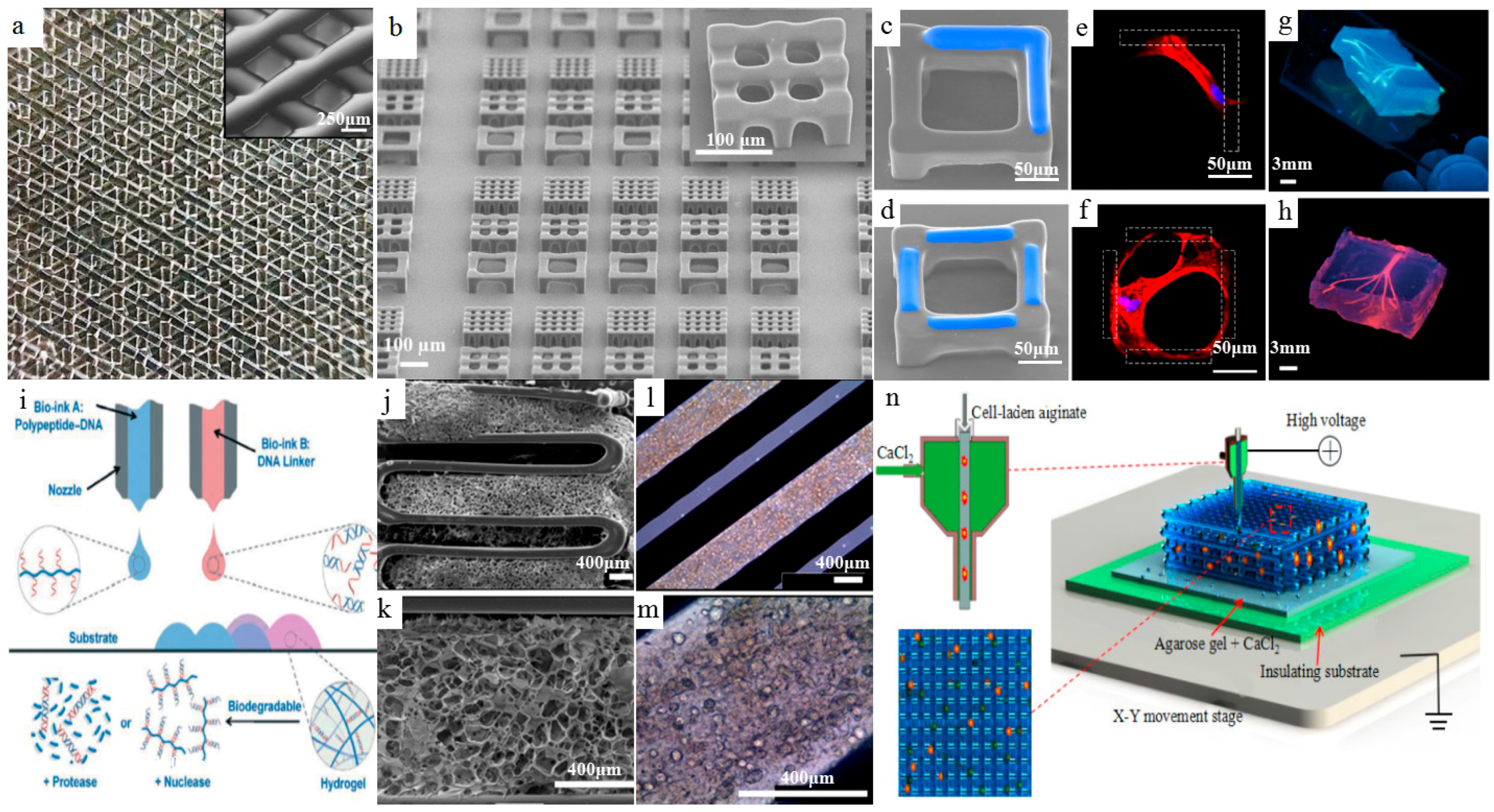 Materials 11 00166 g006