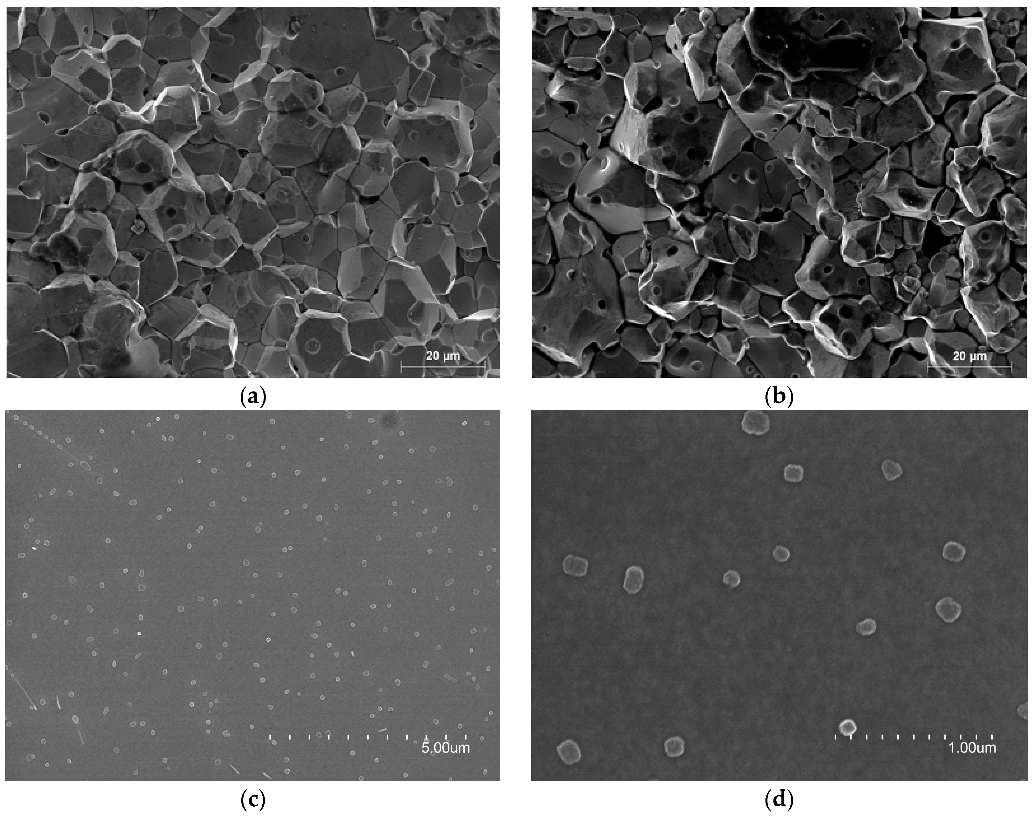 Materials 11 00174 g002 550