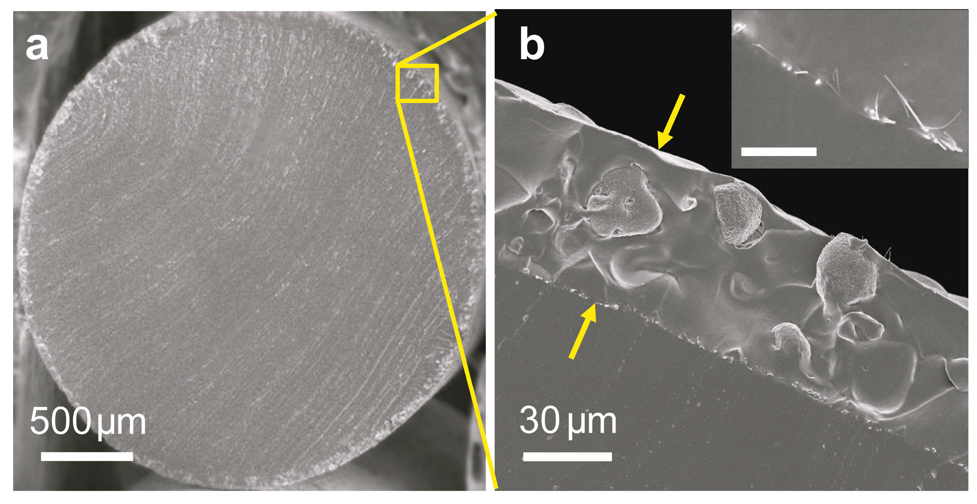 Materials 11 00184 g002a