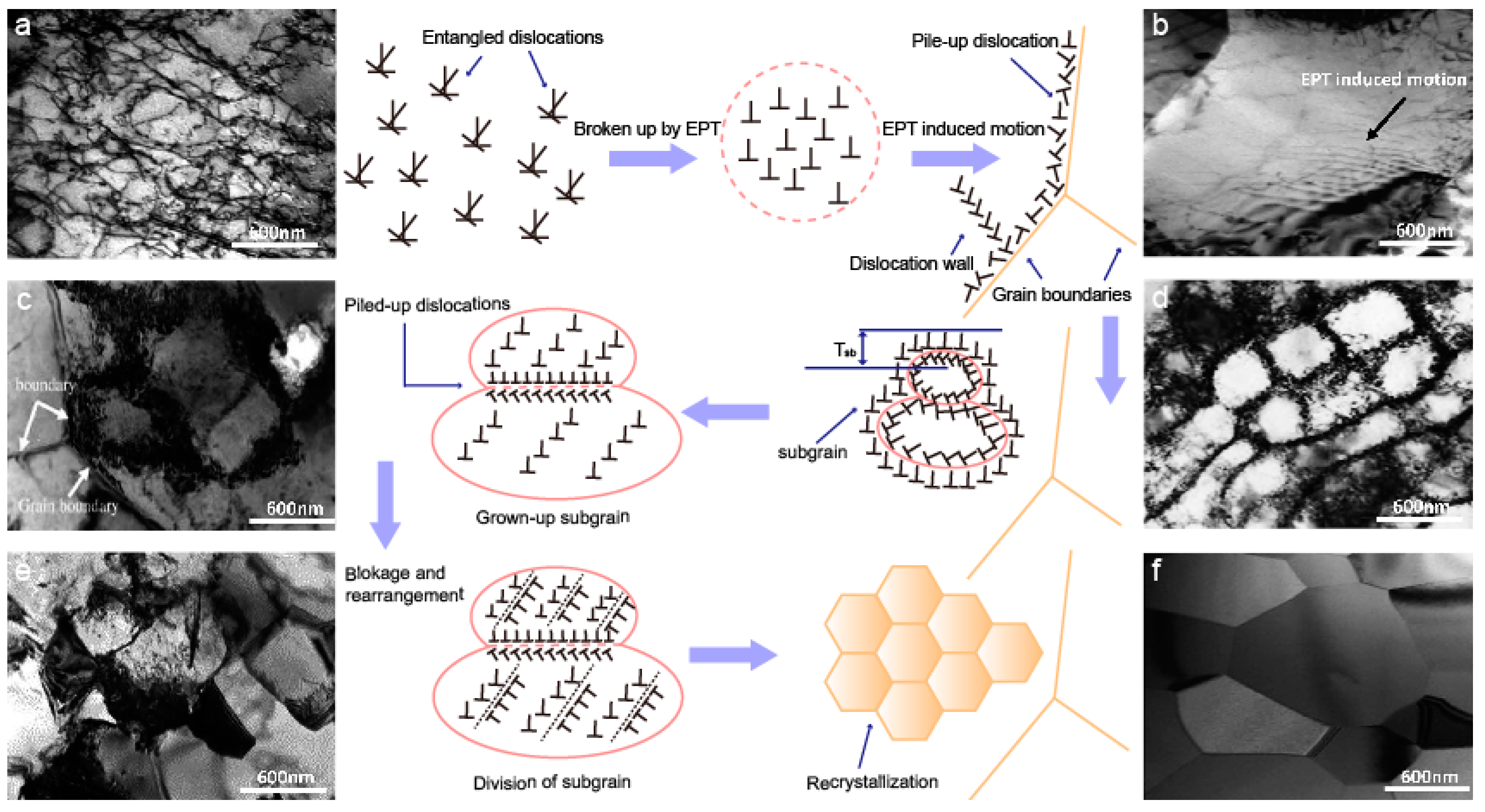 Materials 11 00185 g013 Materials 11 00185 g013