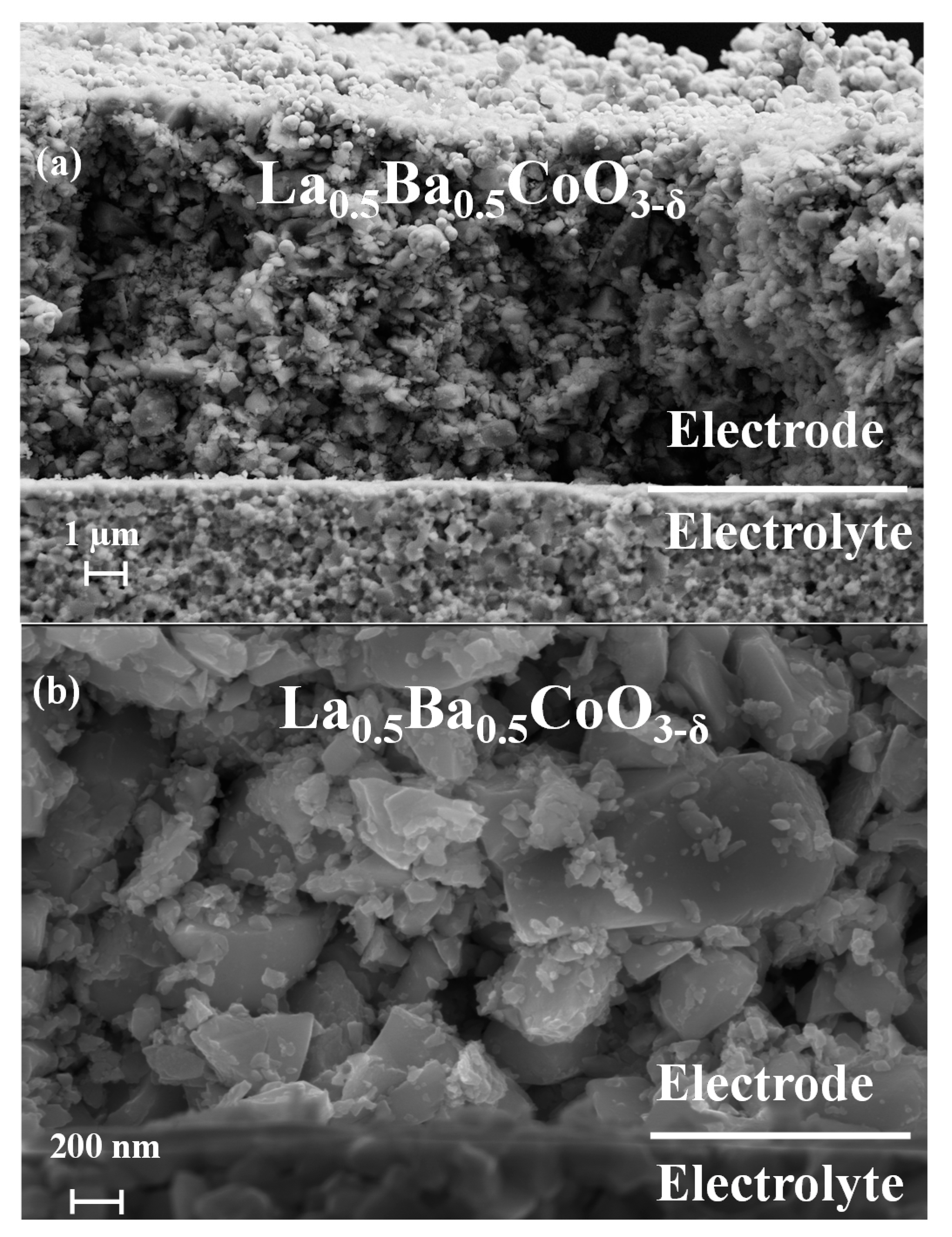 Materials 11 00196 g001 Materials 11 00196 g001