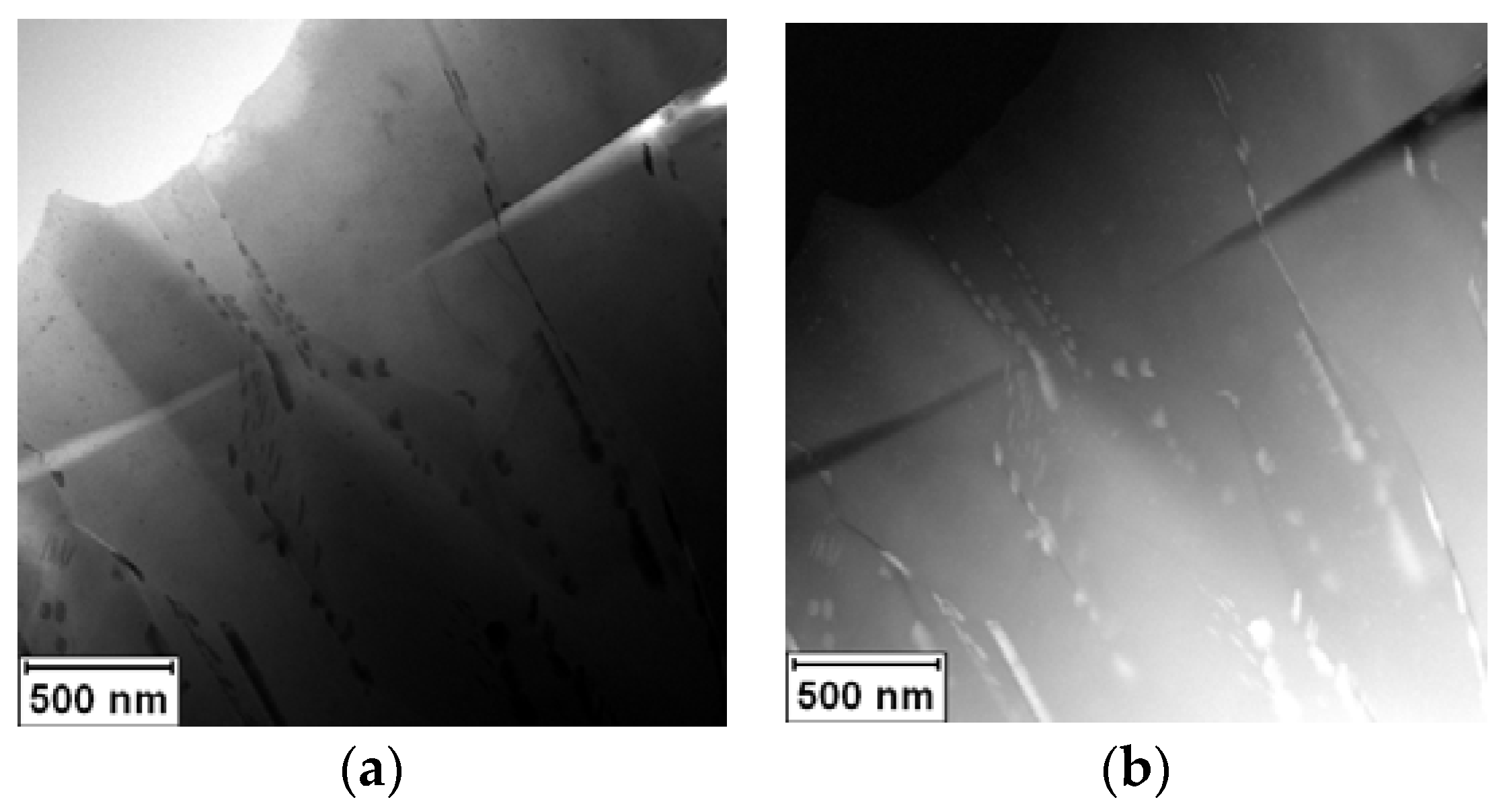 Materials 11 00199 g001 550