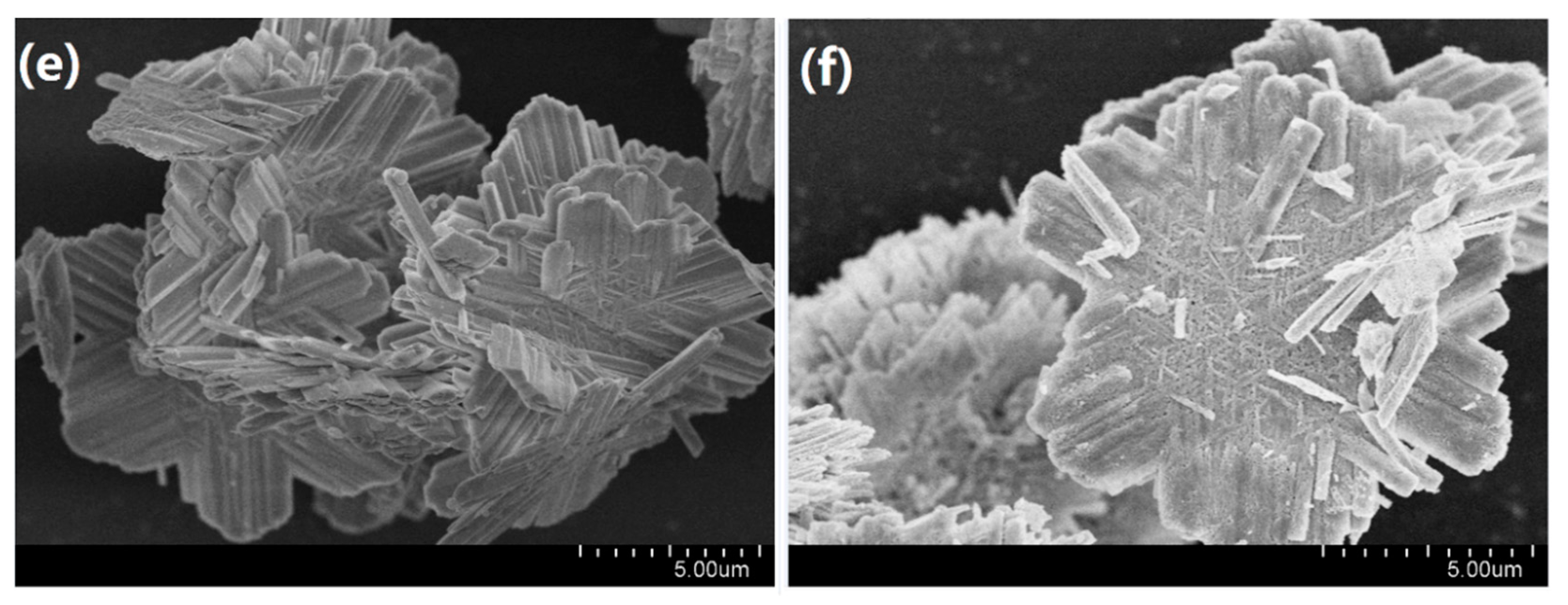 Materials 11 00207 g004b 550