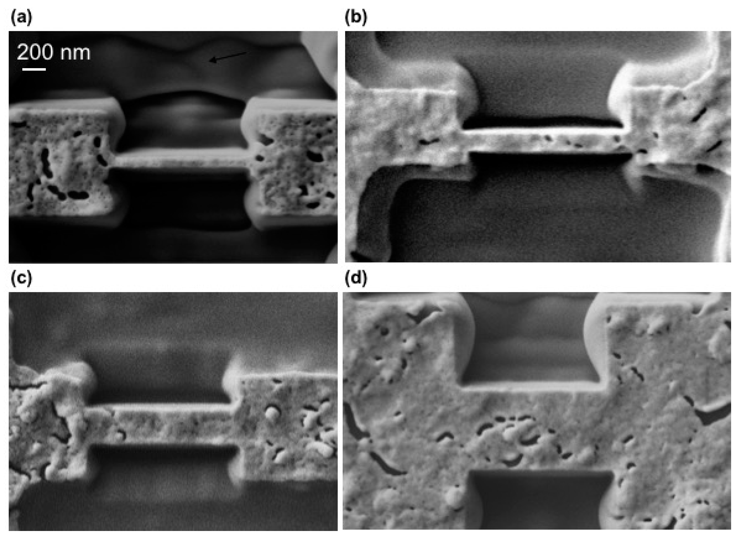 Materials 11 00211 g002