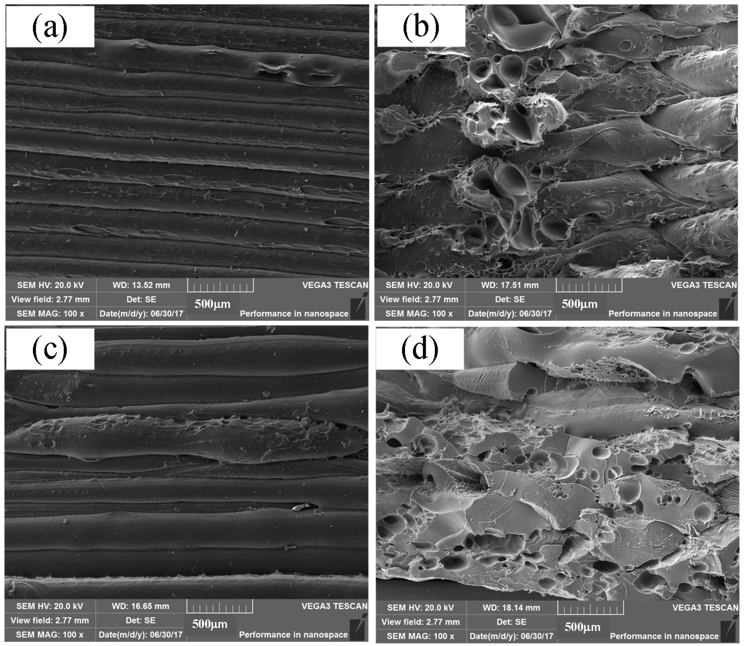 Materials 11 00216 g006