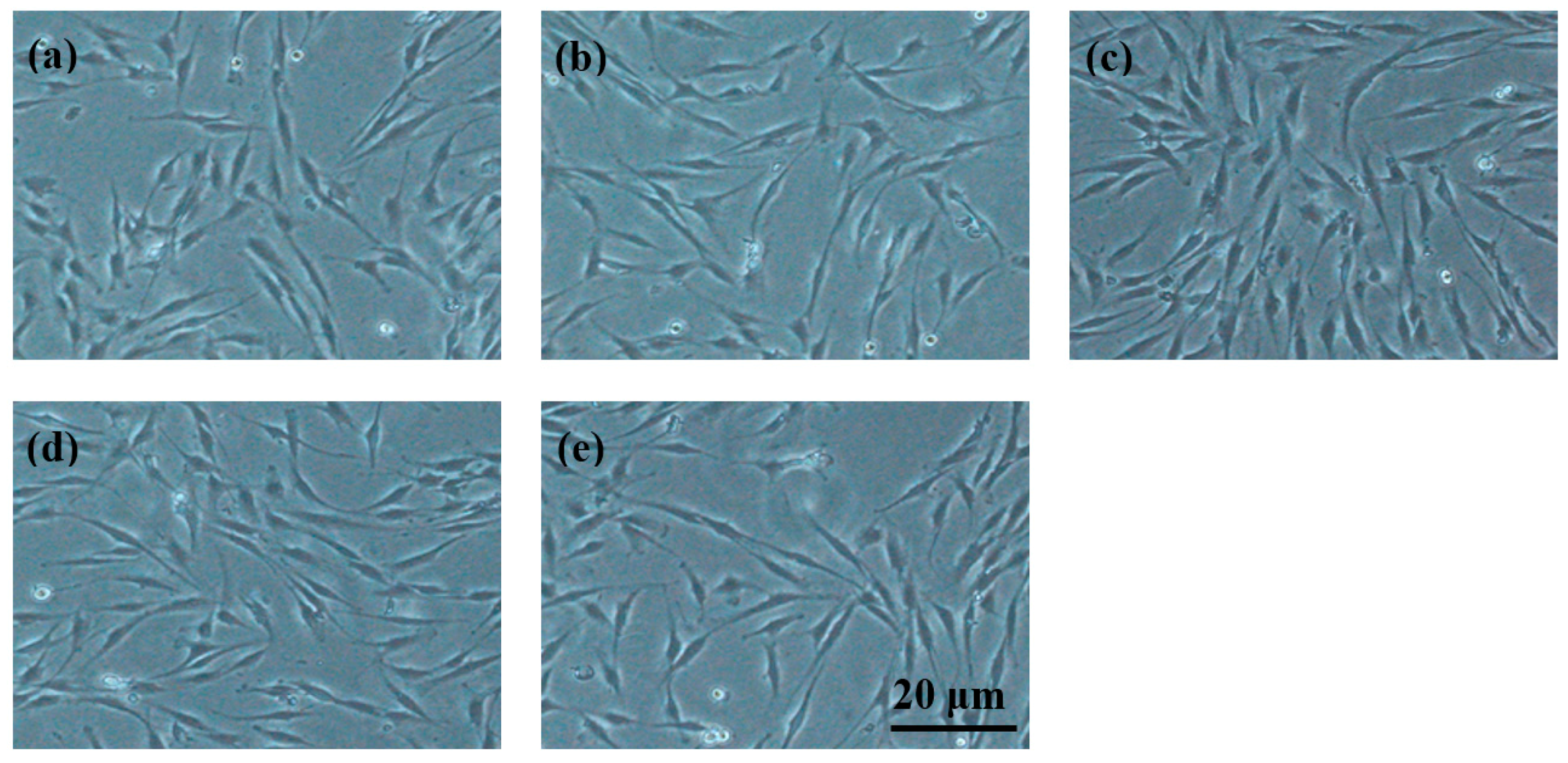 Materials 11 00227 g012