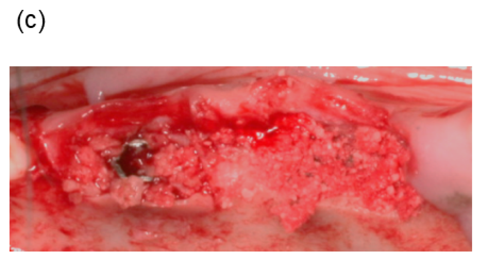 Materials 11 00229 g002b 550