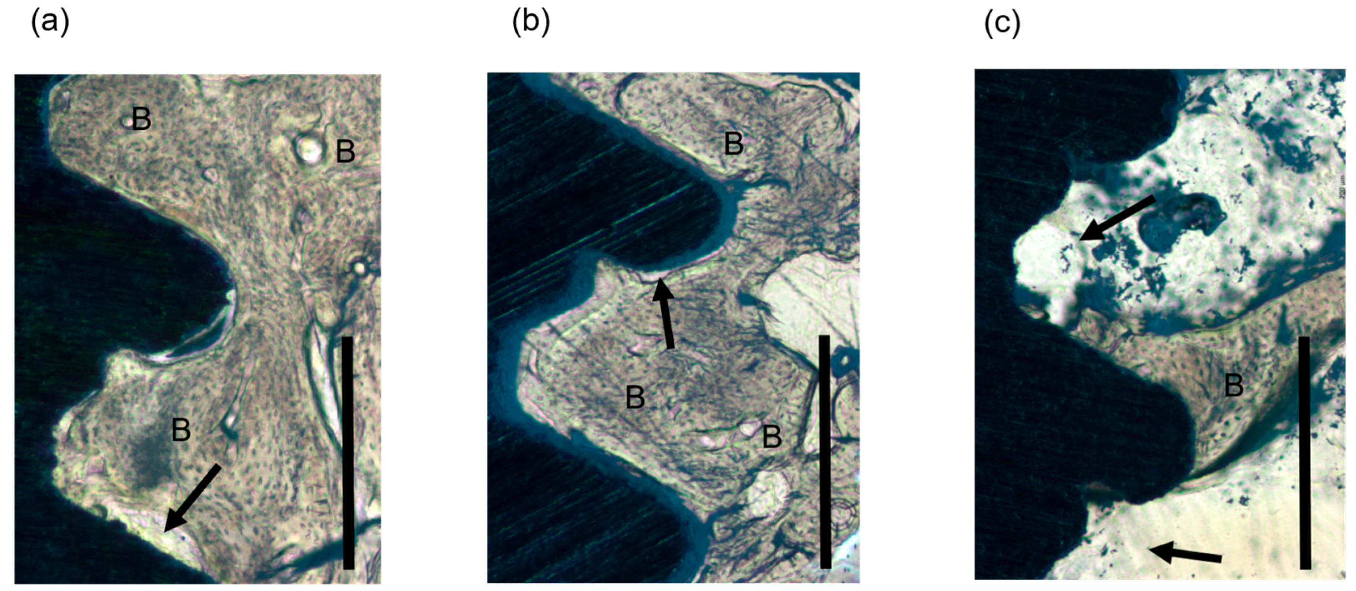 Materials 11 00229 g005 550