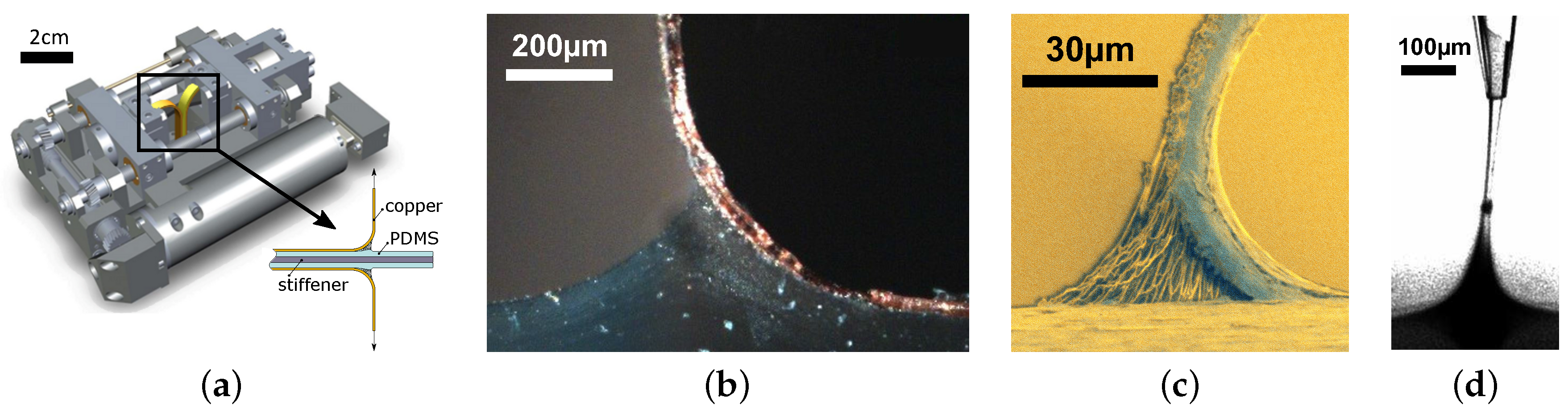 Materials 11 00231 g001 Materials 11 00231 g001