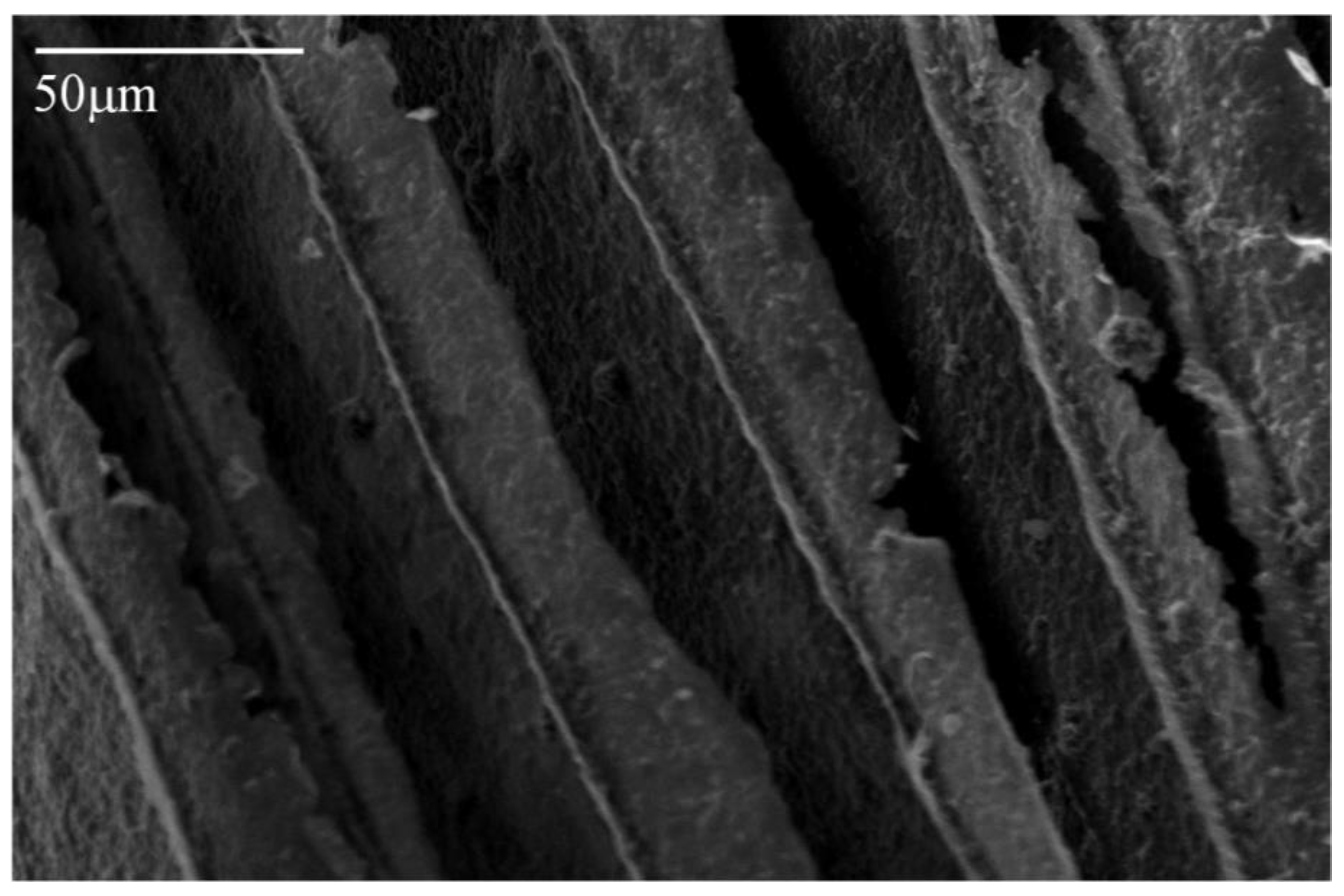 Materials 11 00233 g002 550