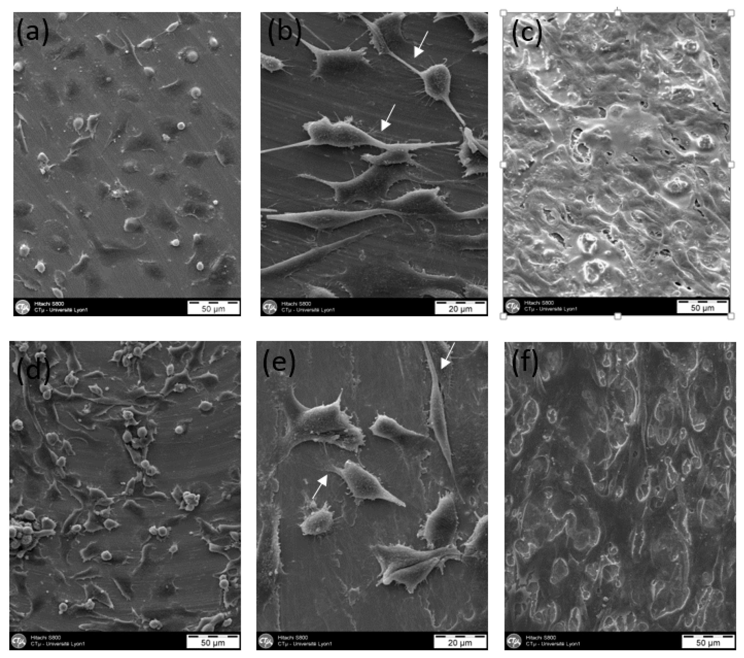 Materials 11 00249 g009