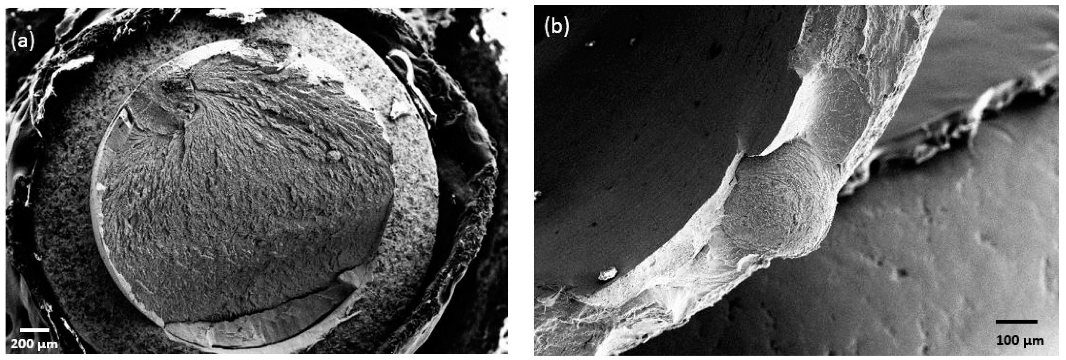 Materials 11 00249 g013