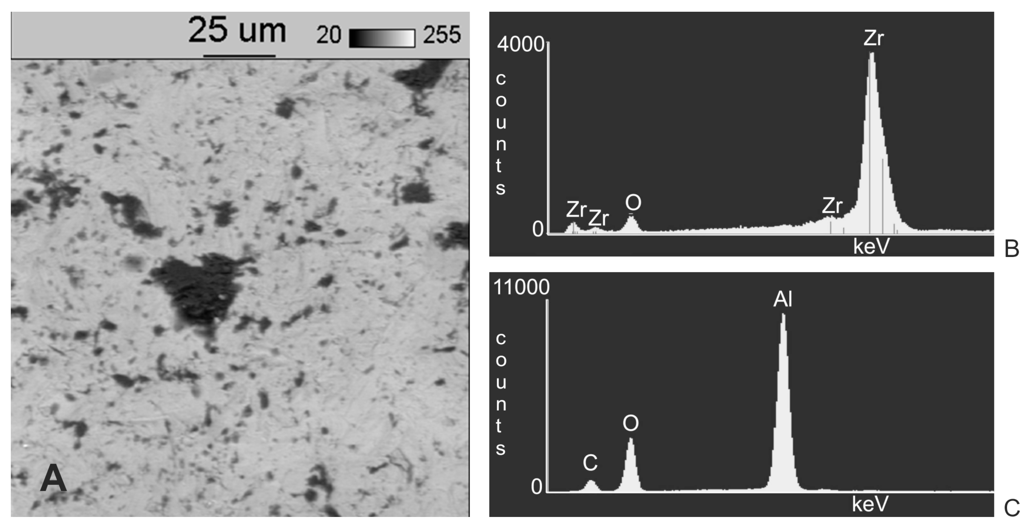 Materials 11 00259 g004
