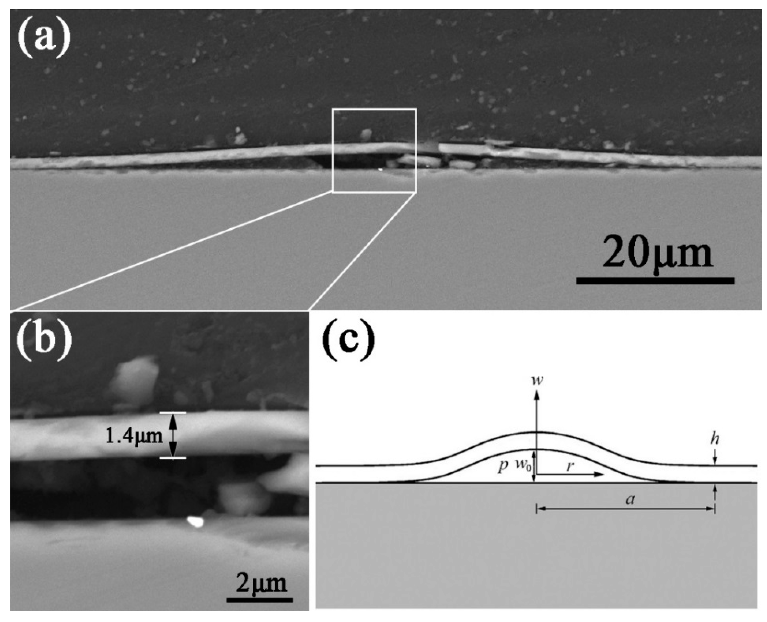 Materials 11 00282 g003 550