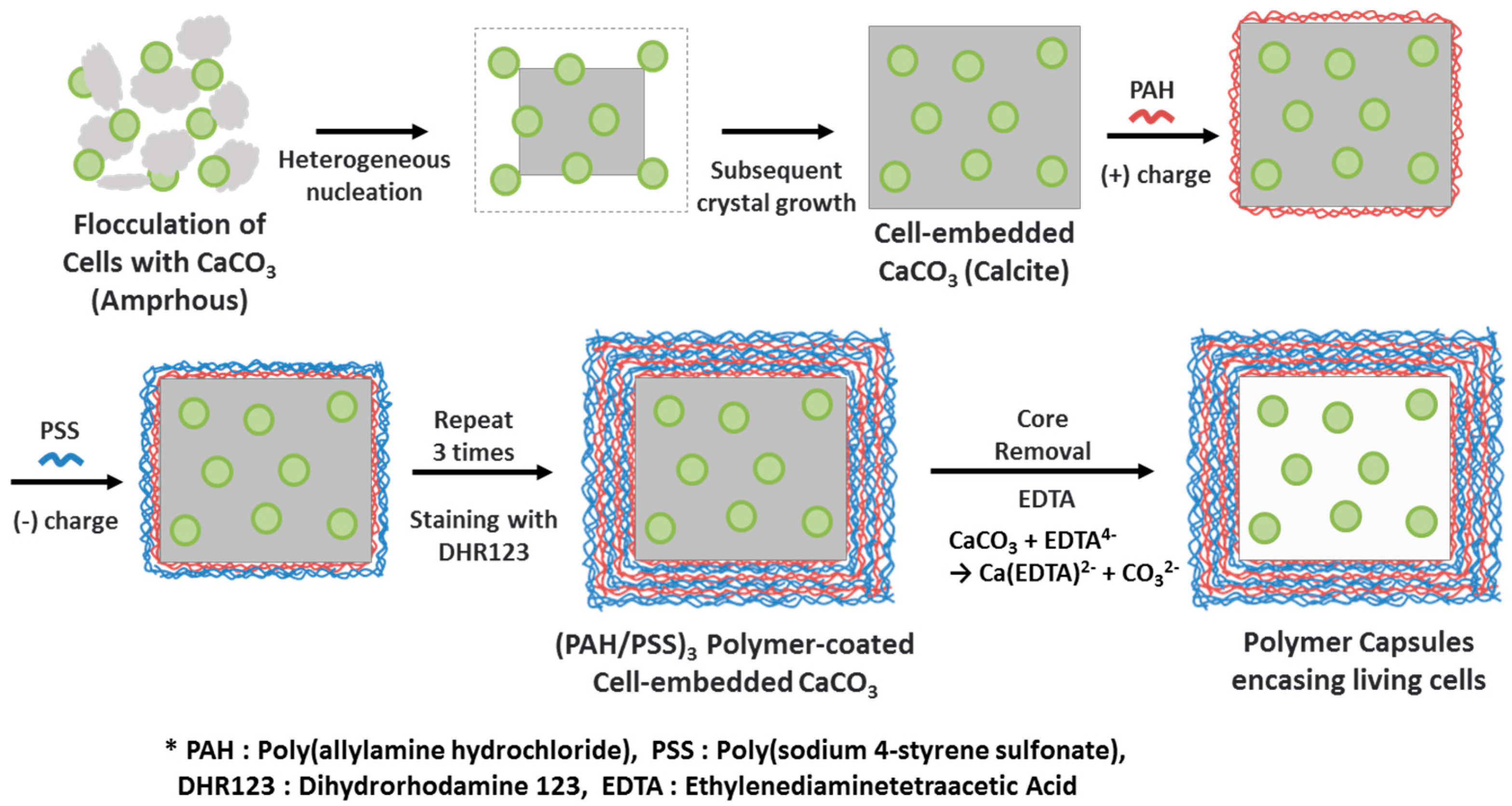 Materials 11 00296 g001 Materials 11 00296 g001