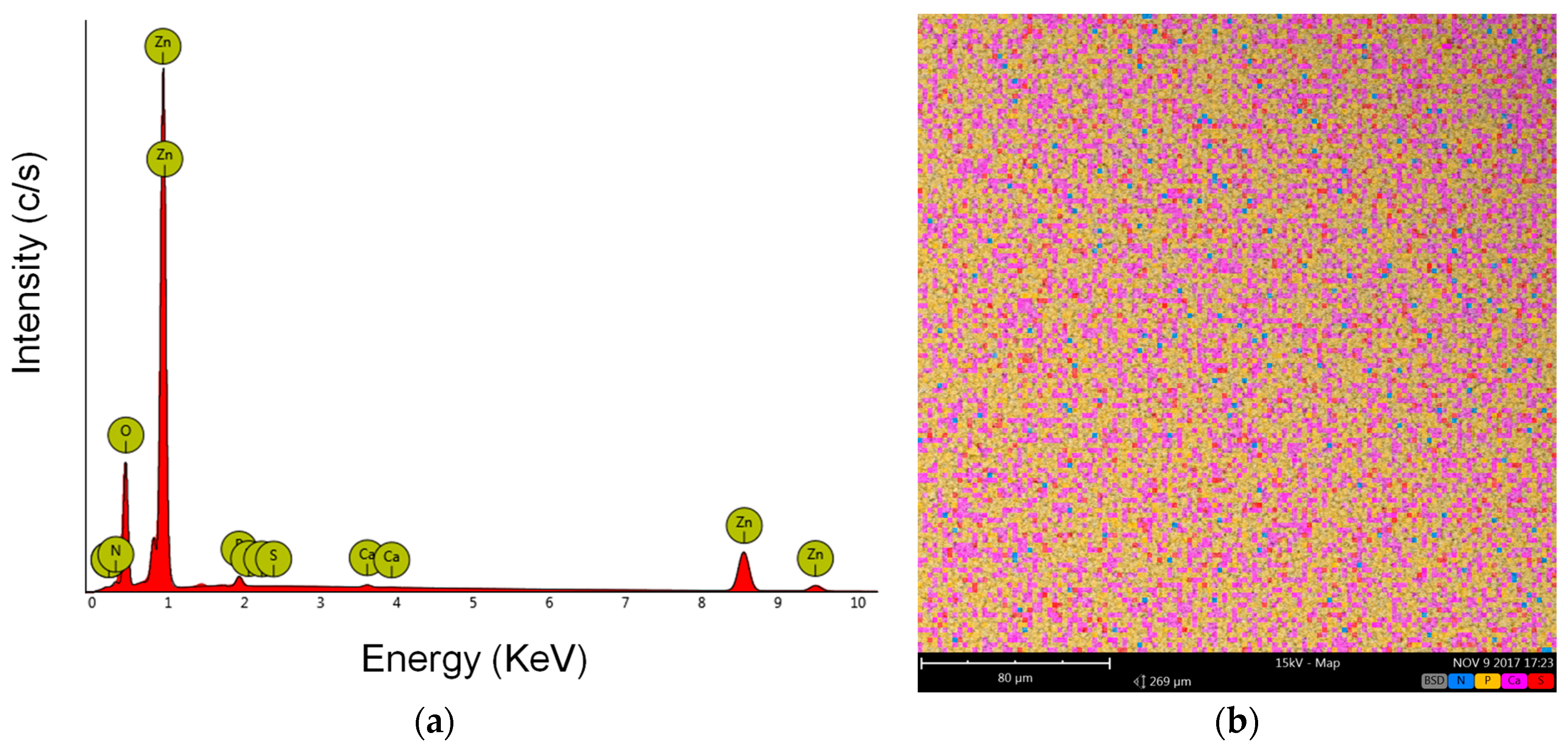 Materials 11 00314 g005
