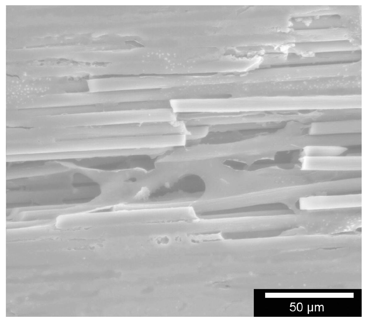 Materials 11 00316 g003 550