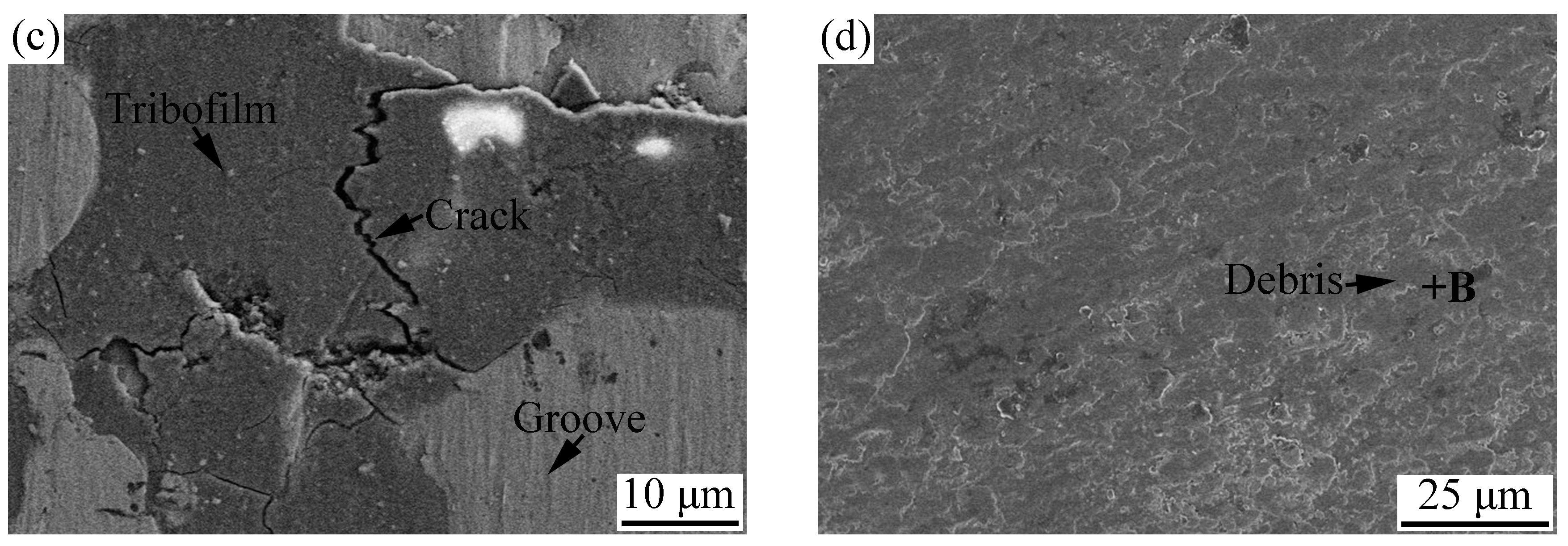 Materials 11 00320 g013b