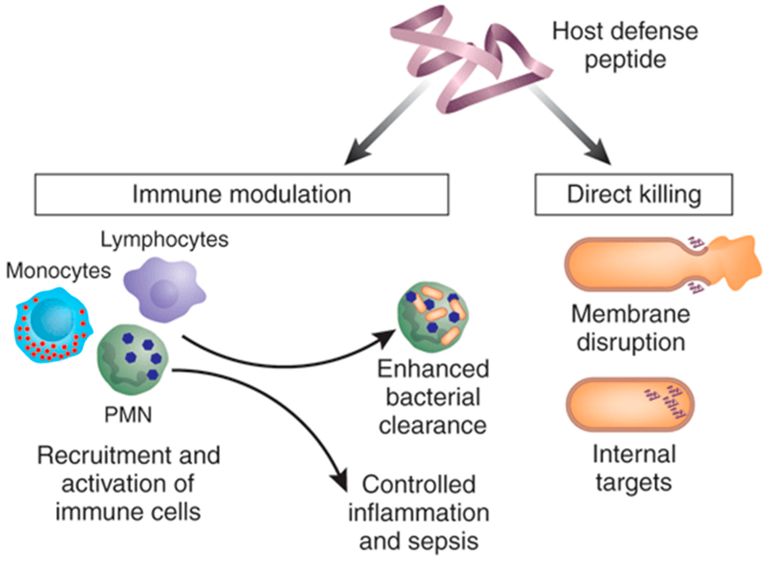 Materials 11 00321 g002 Materials 11 00321 g002