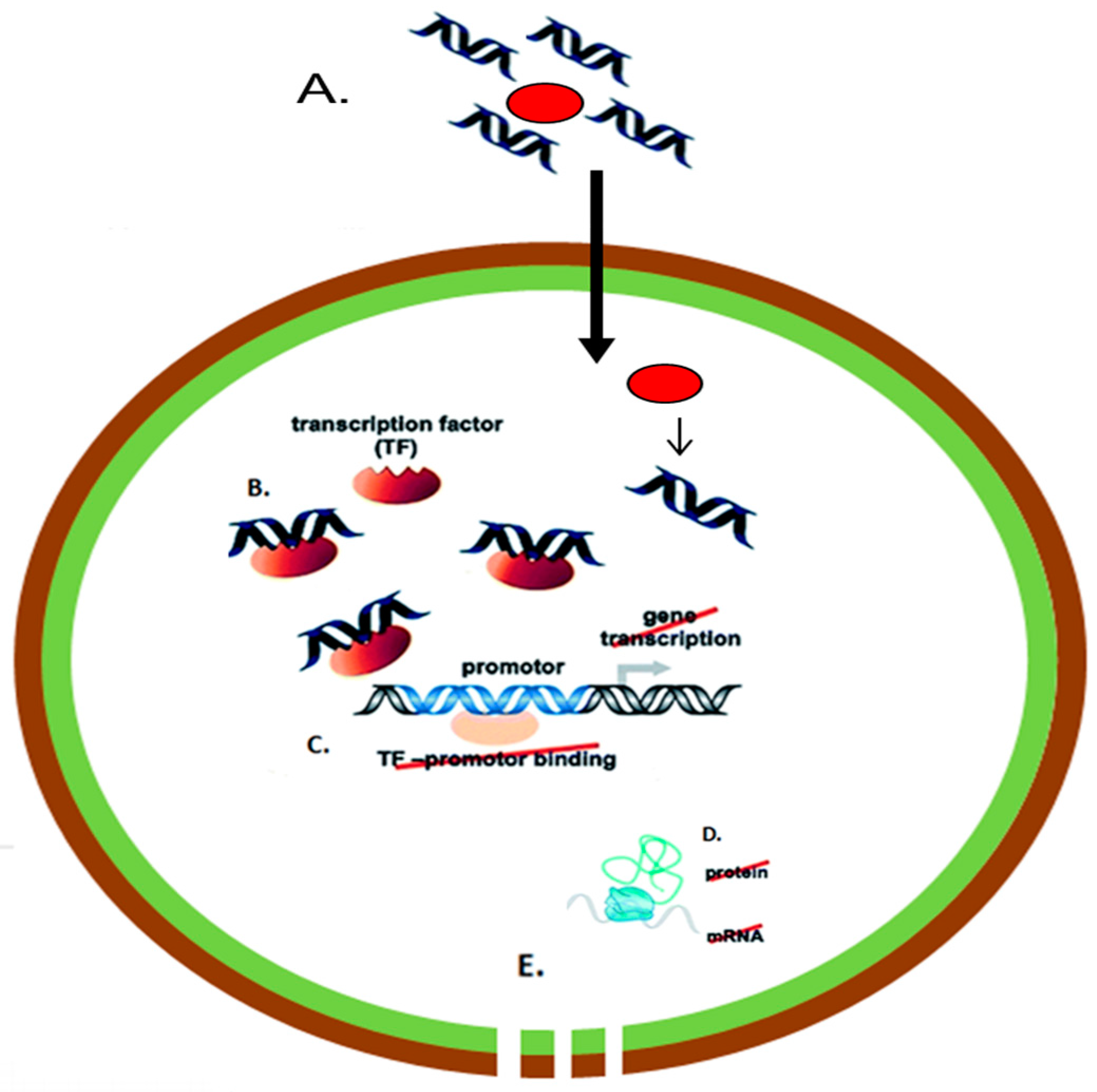Materials 11 00321 g003 Materials 11 00321 g003