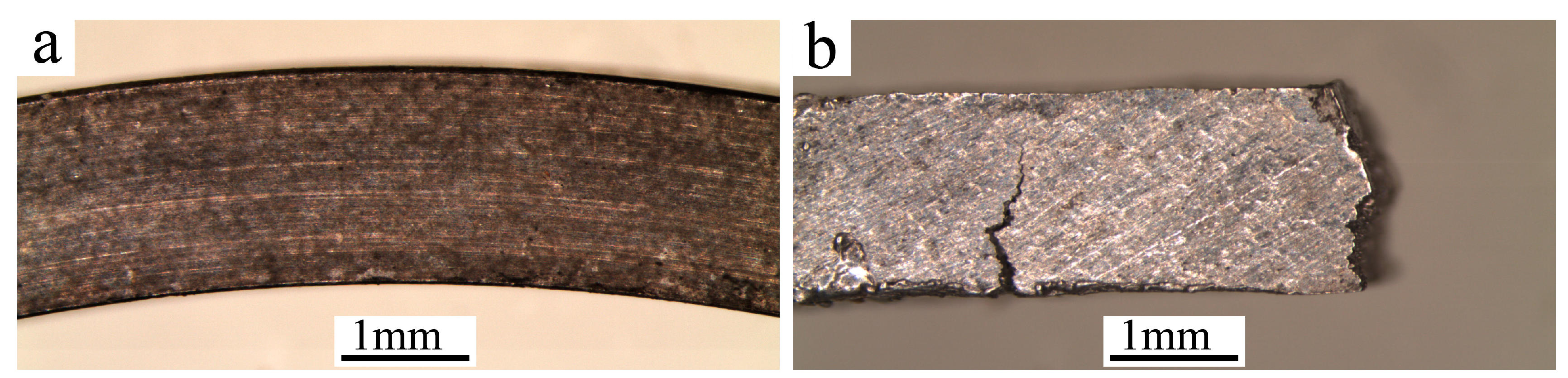 Materials 11 00329 g001 550