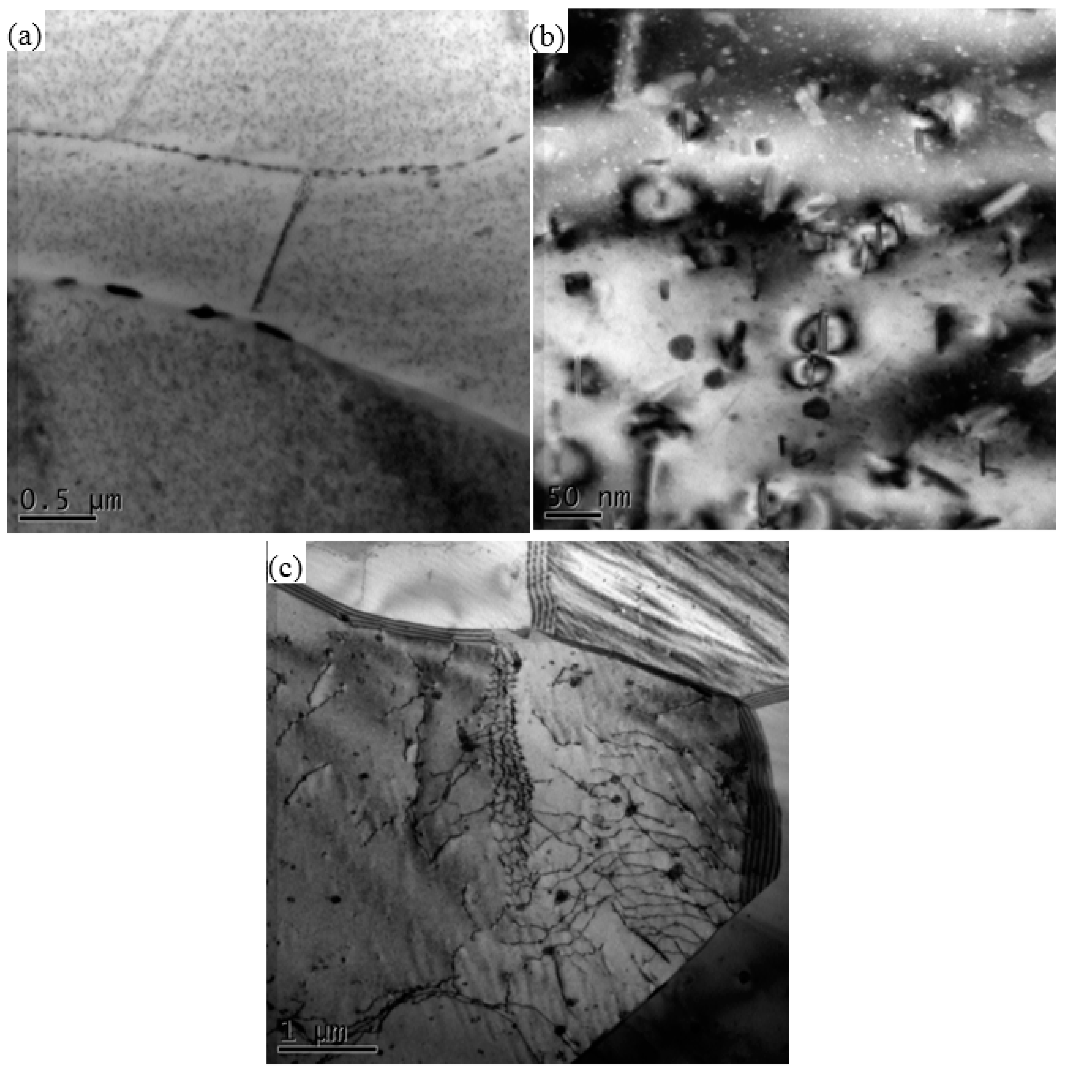 Materials 11 00342 g007