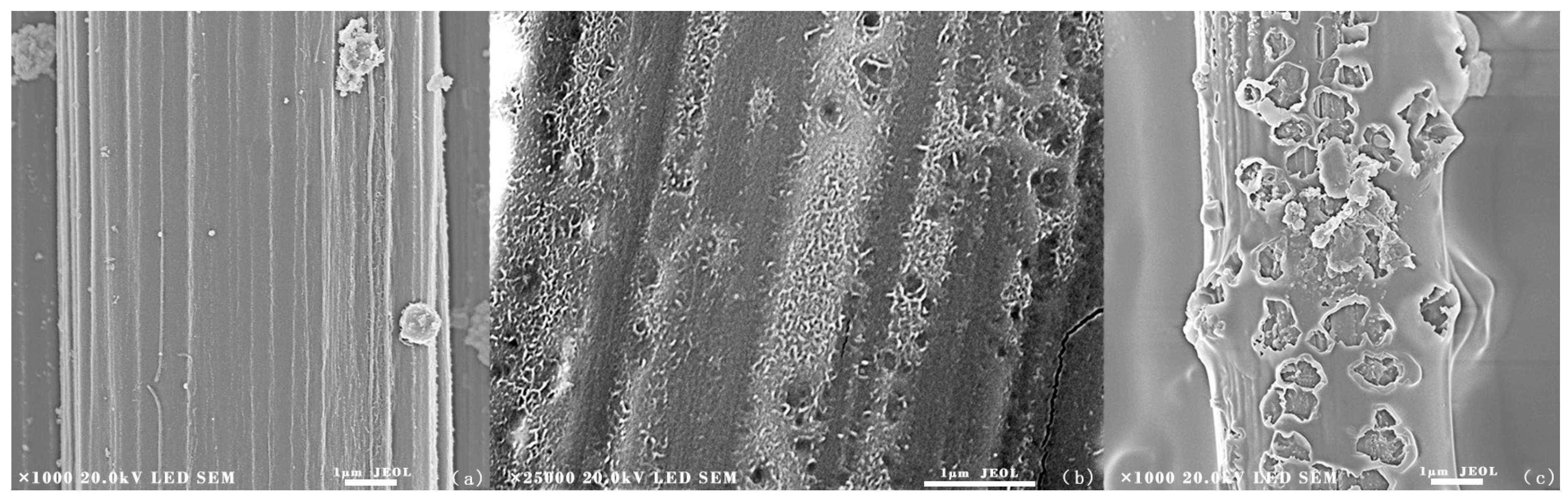 Materials 11 00350 g005