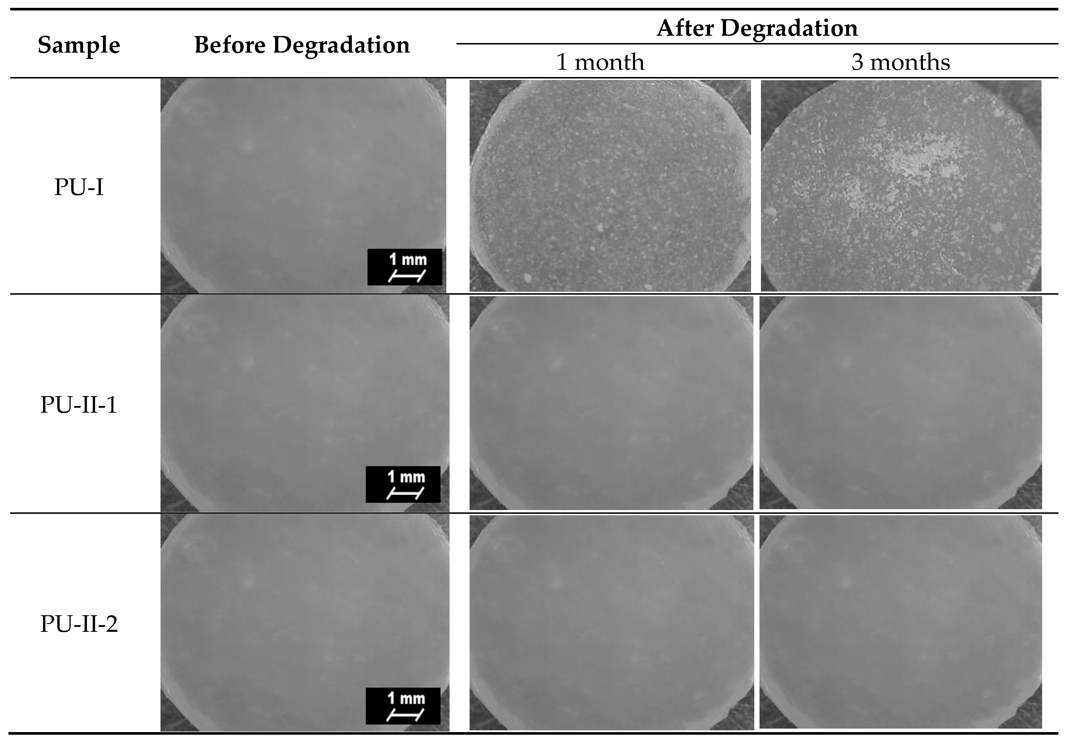 Materials 11 00352 g006 550