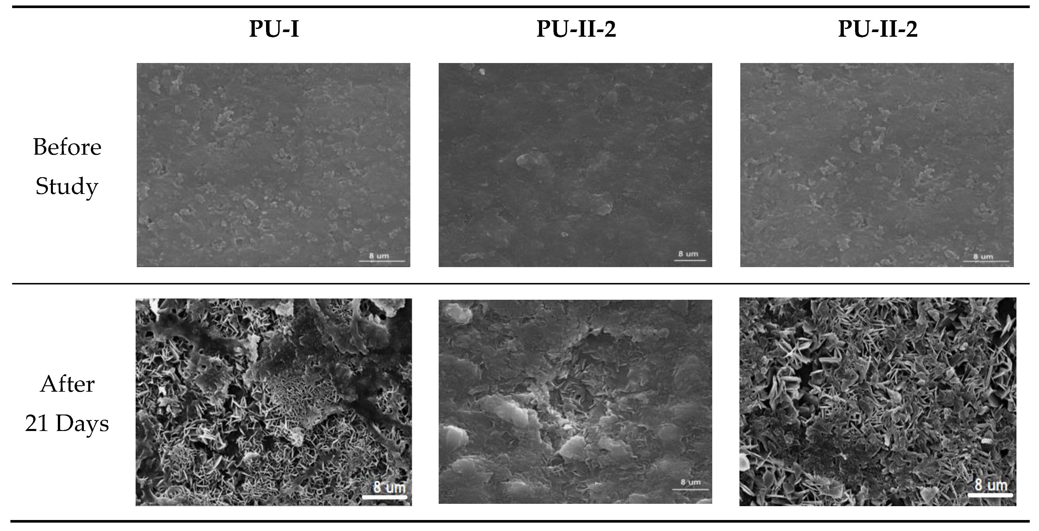 Materials 11 00352 g007 550