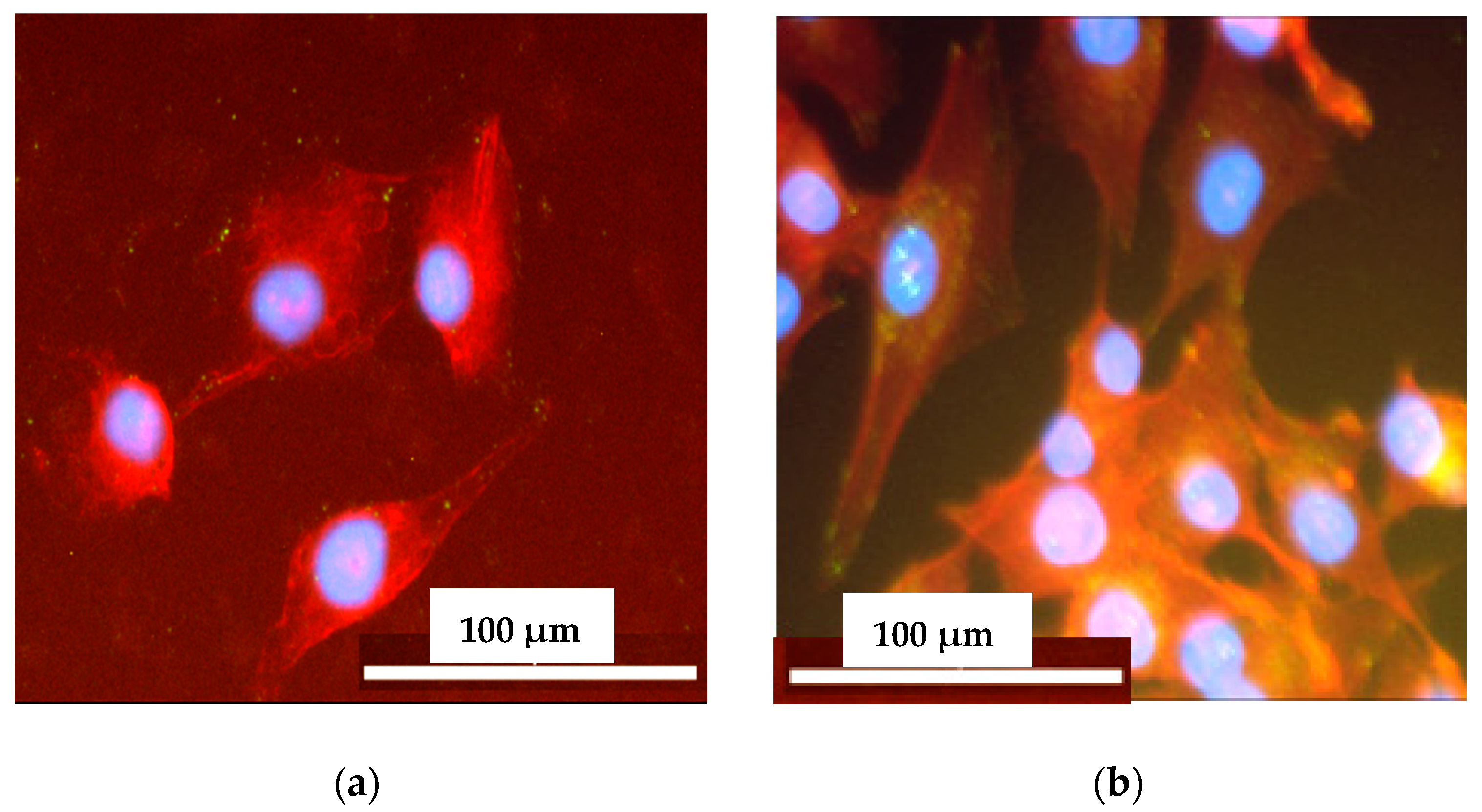 Materials 11 00352 g011 550