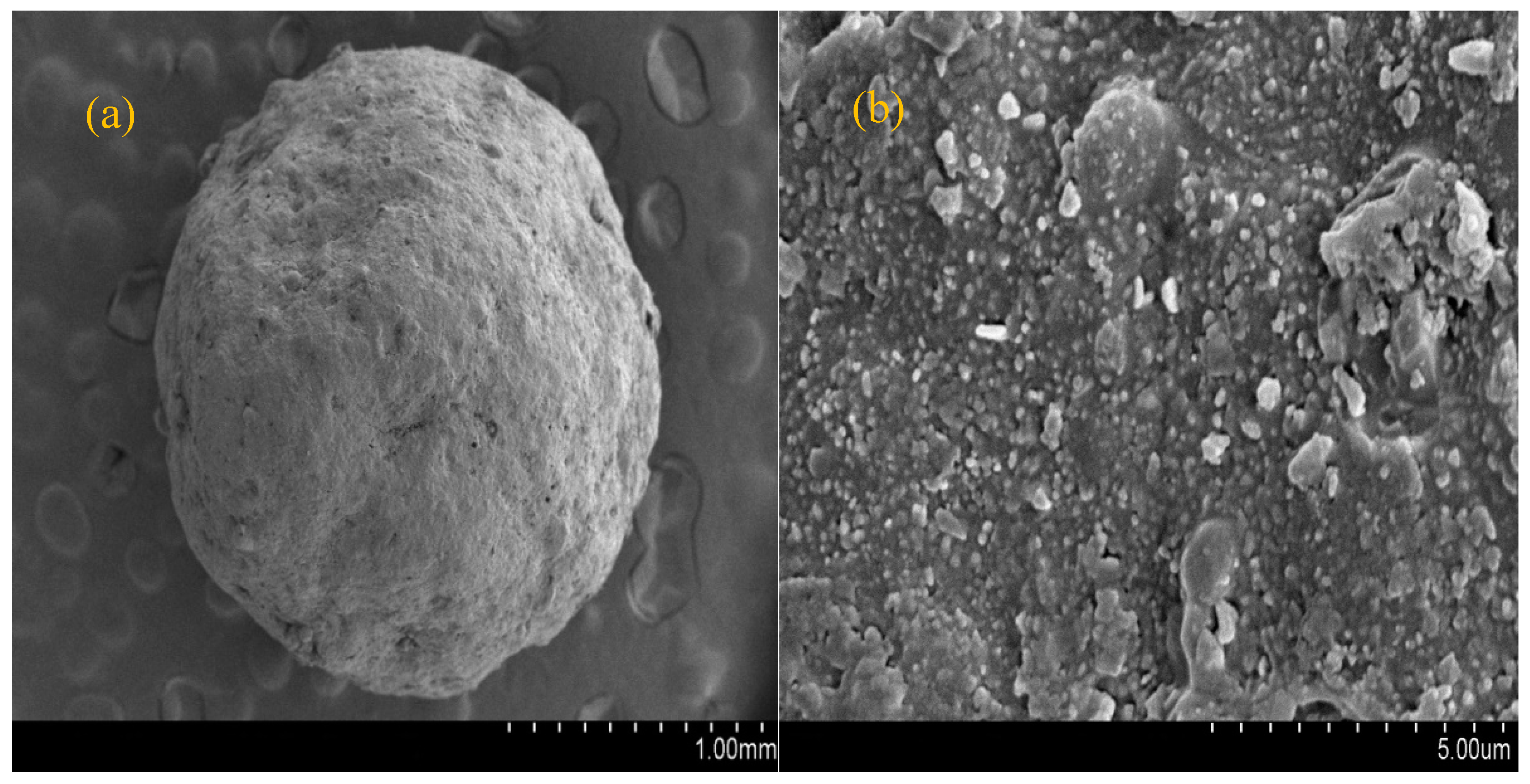 Materials 11 00359 g004 Materials 11 00359 g004